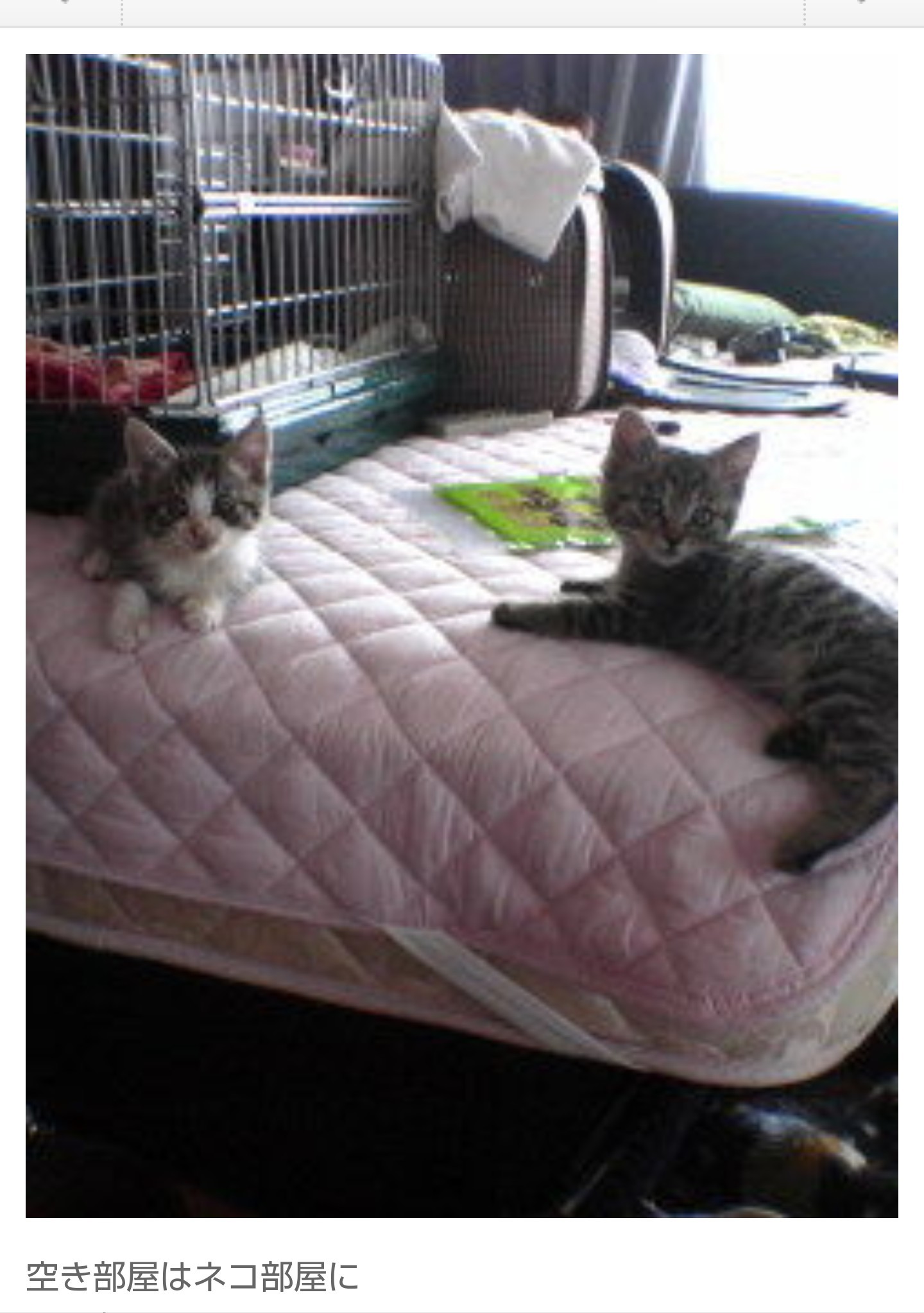 エリ、ありがとう。これからもずっと。 / ☆S ∞MЯK☆エリゴンズさんの 