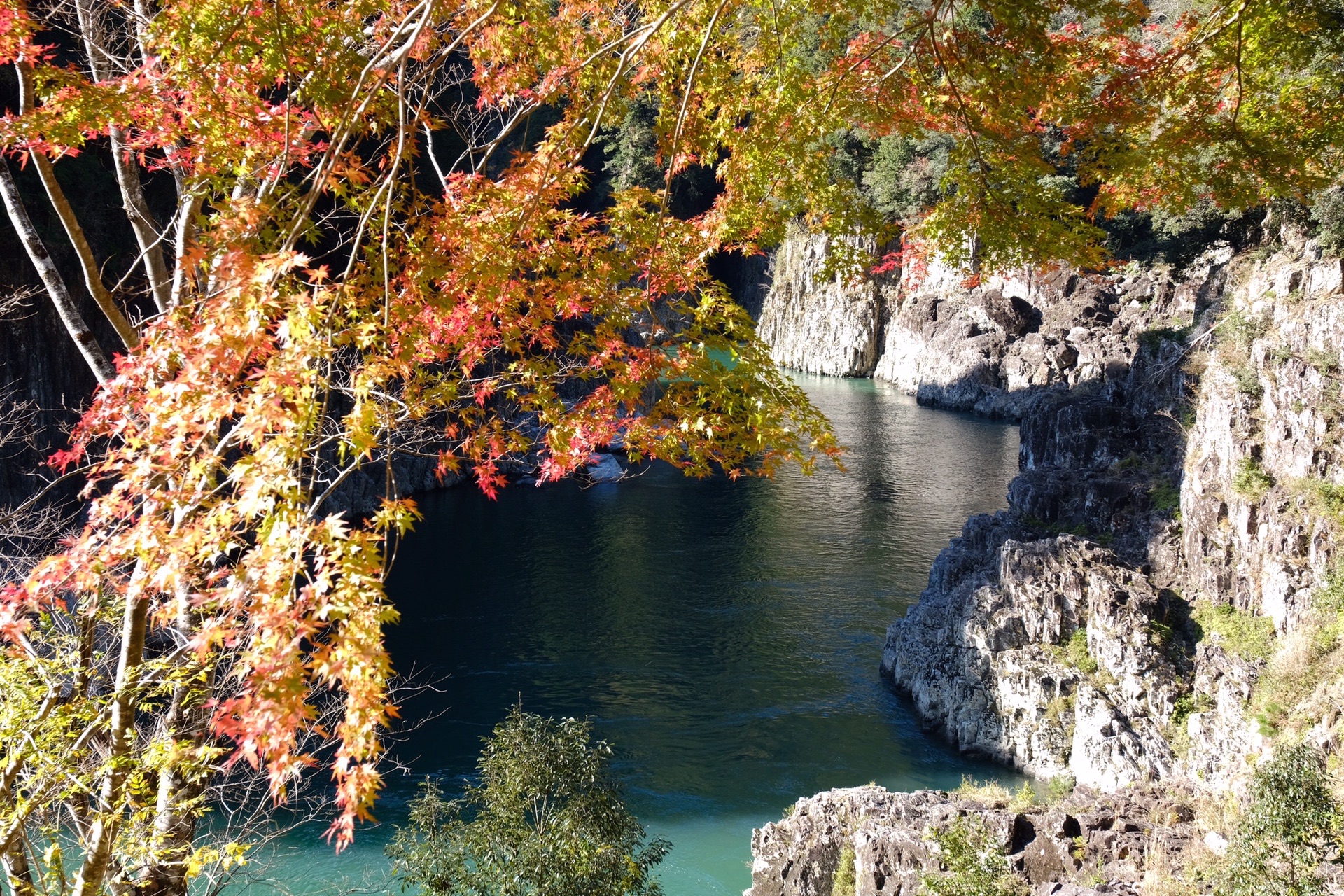瀞峡とツエノ峰 の手前 よっちさんの玉置山の活動日記 Yamap ヤマップ
