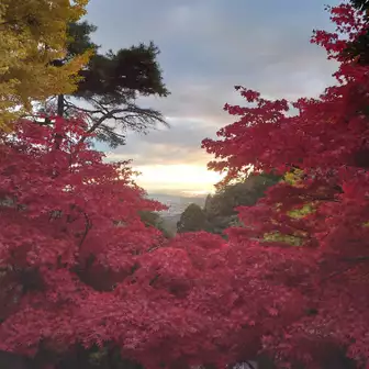 大山寺階段上からの紅葉