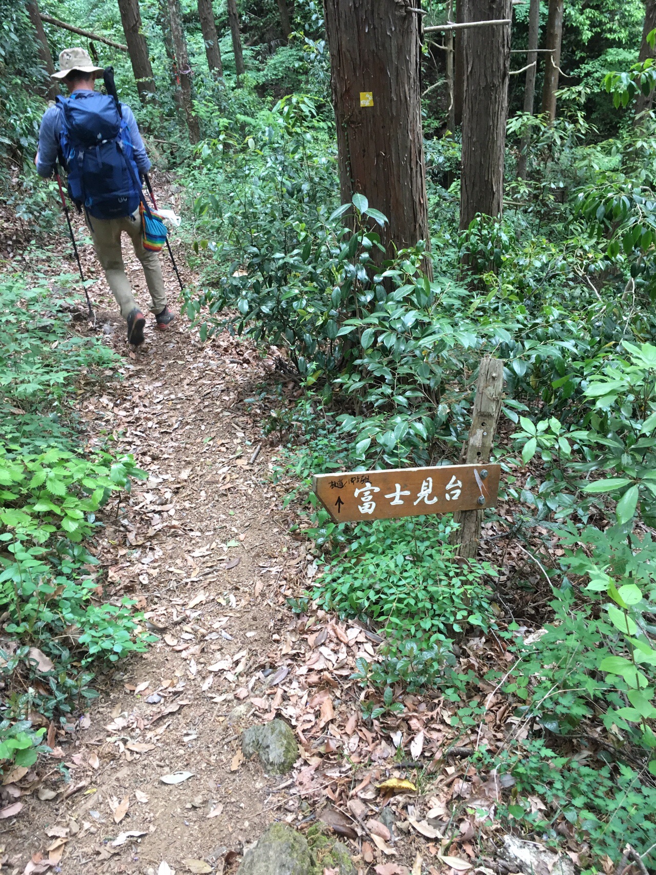 19 5 18 土 八王子城 富士見台 再挑戦 おササさんの高尾山 陣馬山 景信山の活動日記 Yamap ヤマップ