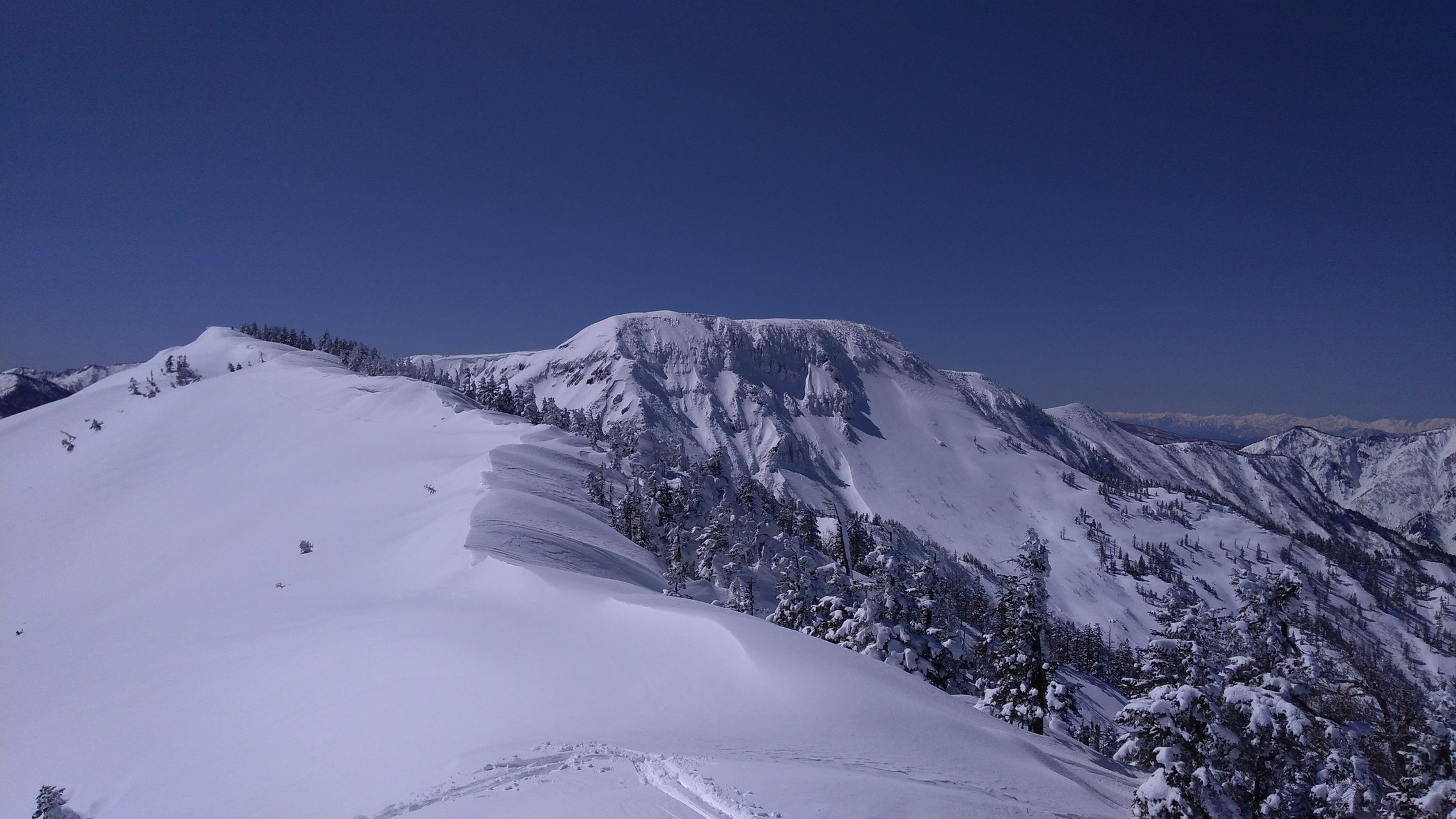 神楽ヶ峰 バックカントリースキー Lepoさんの苗場山 赤倉山 佐武流山の活動データ Yamap ヤマップ