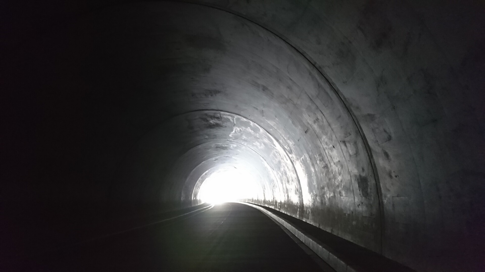 岩湧バイパス勝手に視察 ご免なさい撤退します 丸子さんの岩湧山 一徳防山 三石山の活動日記 Yamap ヤマップ