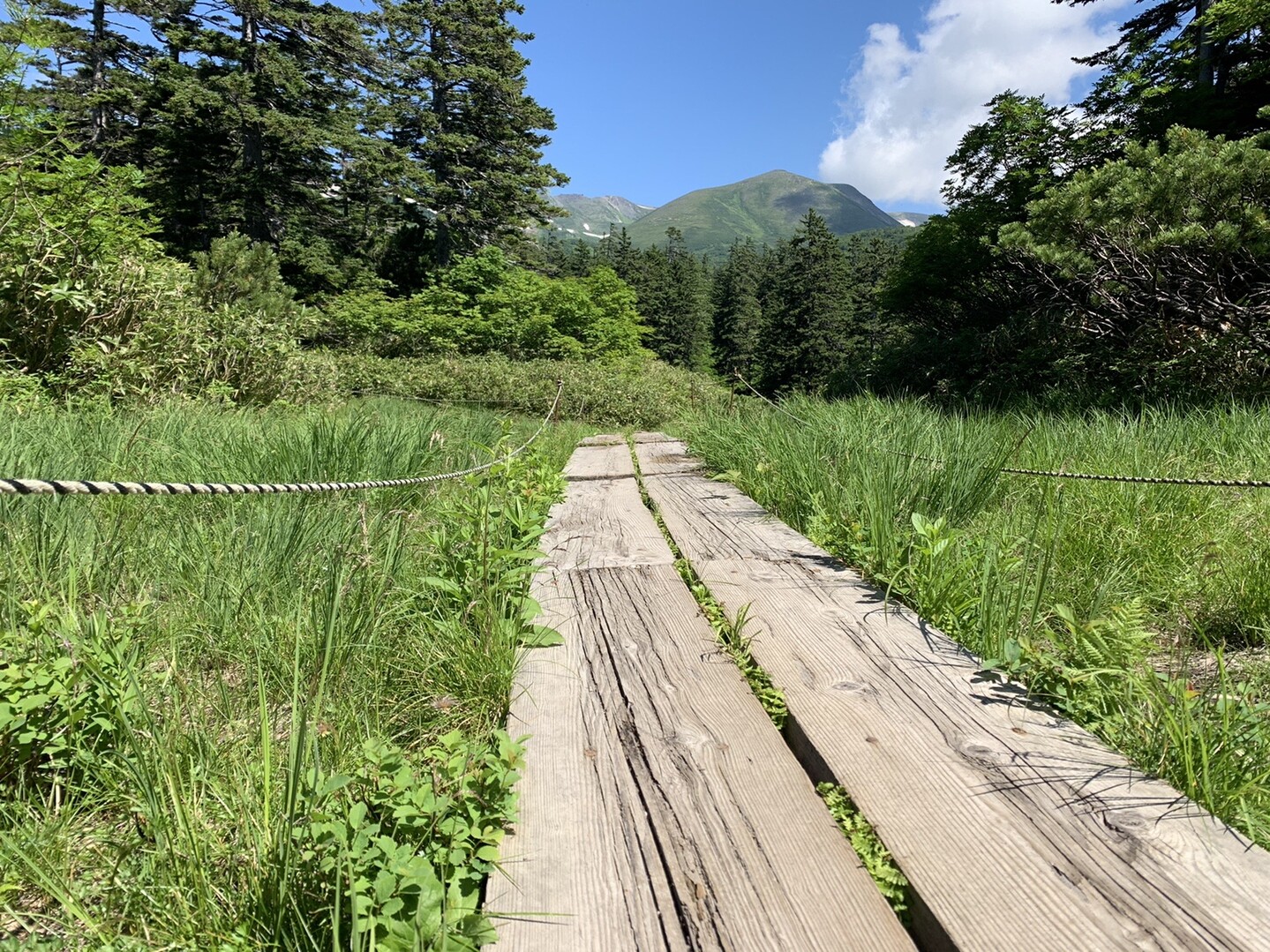 恩返しに荷揚げボランティア 大雪山系 旭岳 トムラウシの写真5枚目 帰りは軽い足取りどころの騒ぎではない Yamap ヤマップ