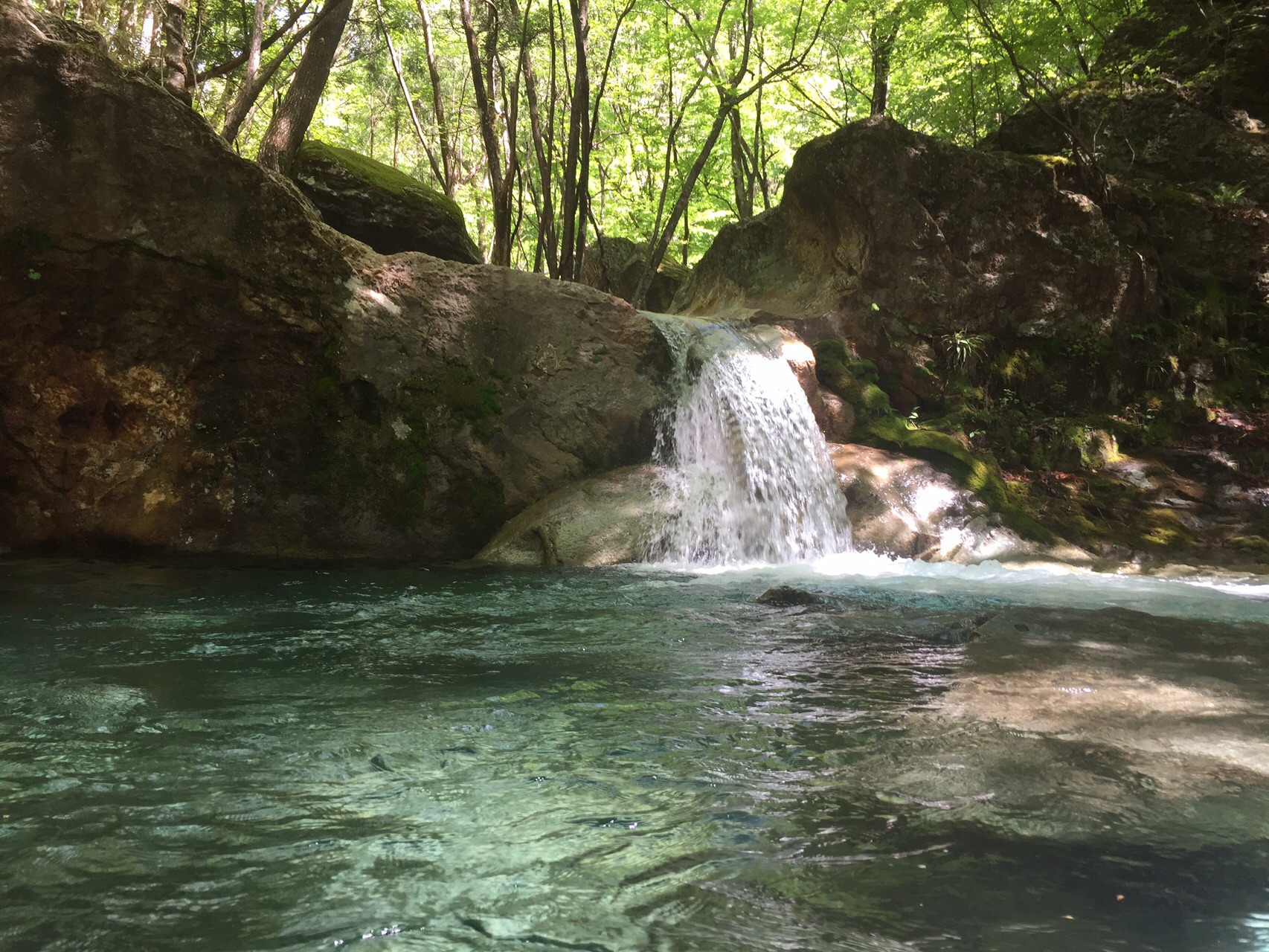 山 ときどき 滝巡り 黄金の滝 大戸谷之滝 篇 カッチンさんの高田山 有笠山の活動データ Yamap ヤマップ