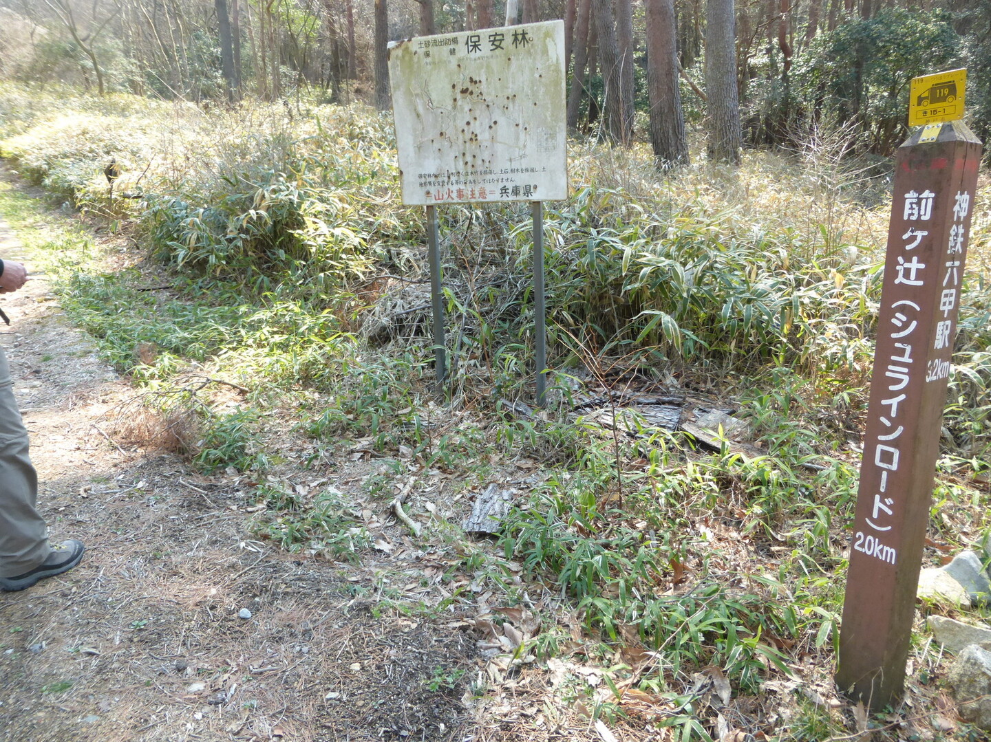 リハビリ 裏六甲 初の逢山峡 セリバオウレンと九体仏 シュラインロード アイスロードで六甲駅 14 3km 朝から痛いけど 六甲山 長峰山 摩耶山の写真9枚目 古寺山分岐を見逃したから諦めて左折 Yamap ヤマップ