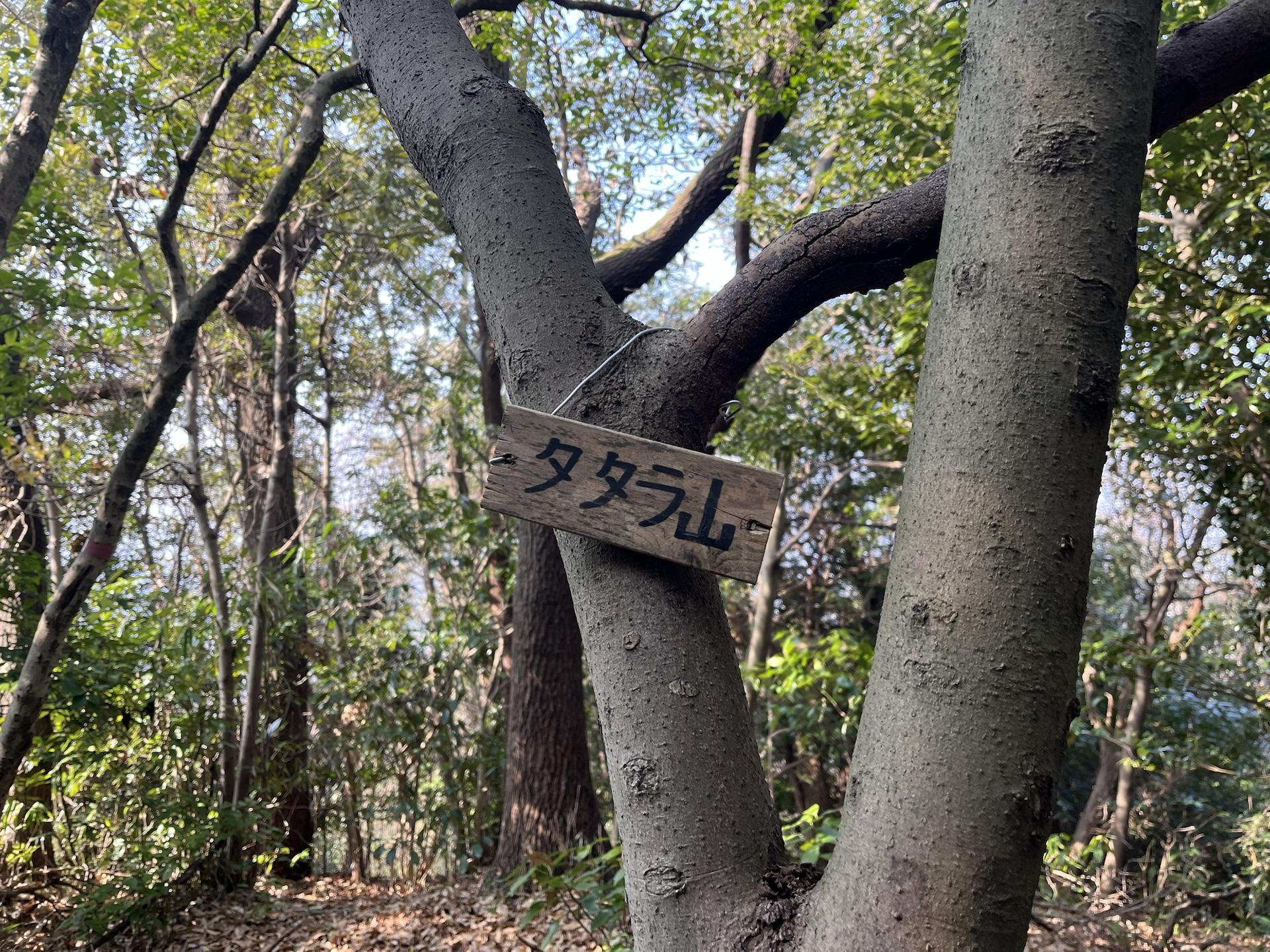 タタラ山-生駒山 往復コースの地図・登山ルート・登山口情報 | YAMAP