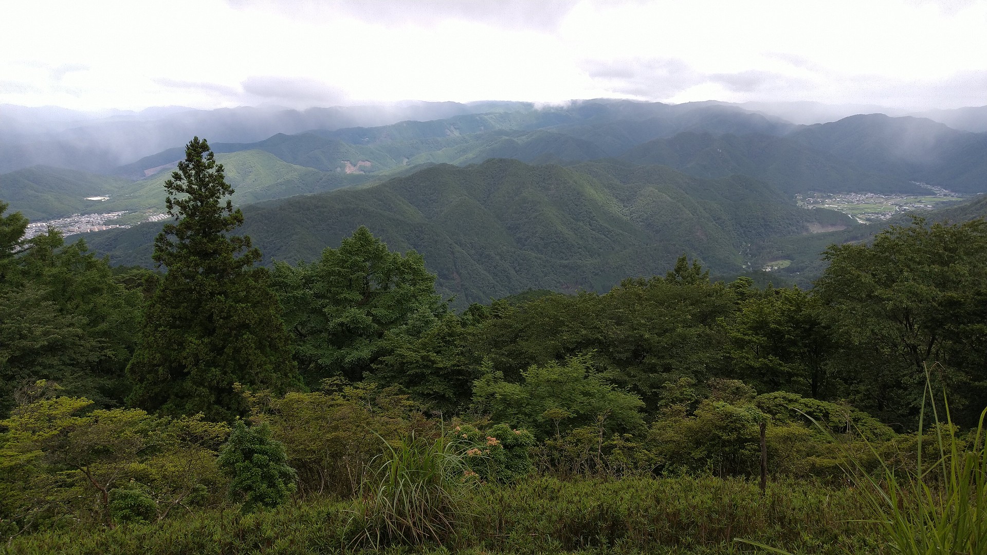 一足遅れの七夕 大比叡 四明岳 まきまき さんの比叡山 横高山 梶山の活動データ Yamap ヤマップ