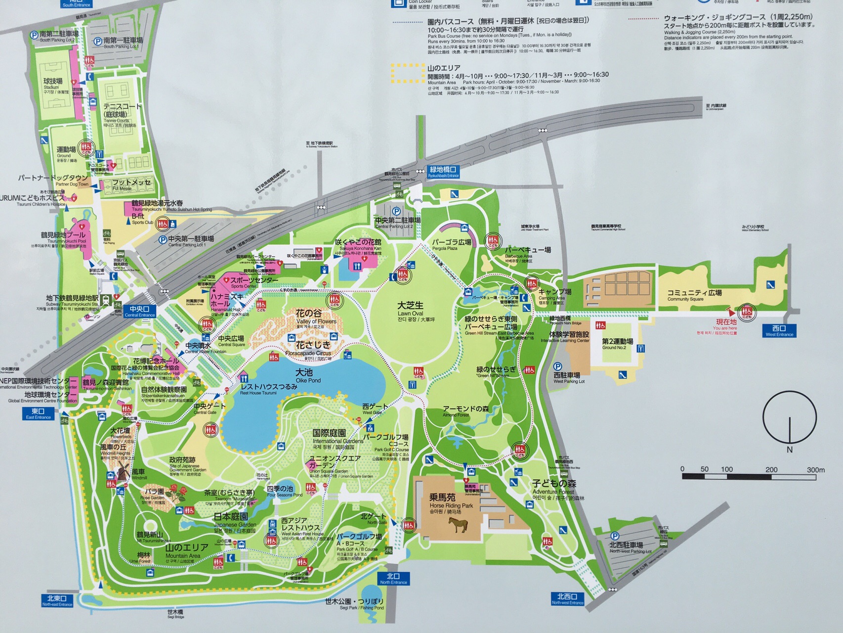 No 67 春だ桜だ 花曇りの城北公園と花博記念公園鶴見緑地 Jjeyさんの大阪市の活動日記 Yamap ヤマップ