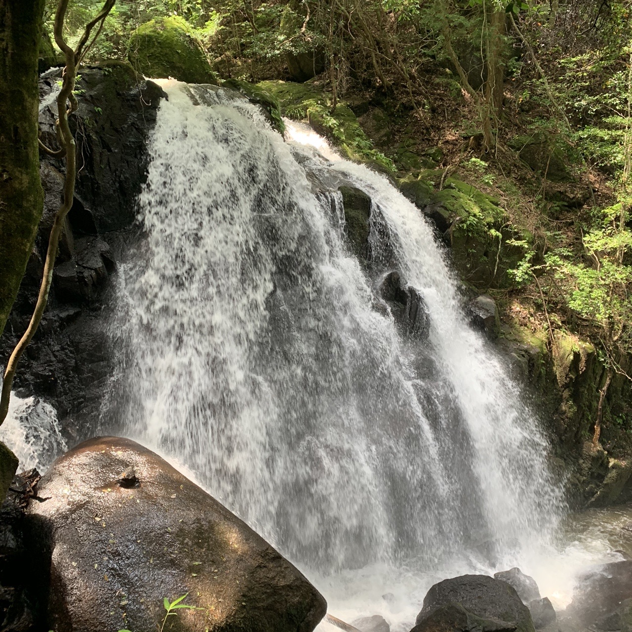 涼をもとめて 鶏鳴の滝 三筋の滝 九品の滝 さないもみおさんの笹ヶ岳の活動データ Yamap ヤマップ