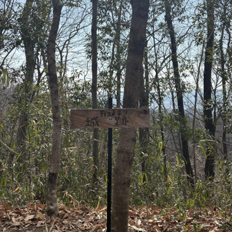 崇台山 天王寺城跡ここか？