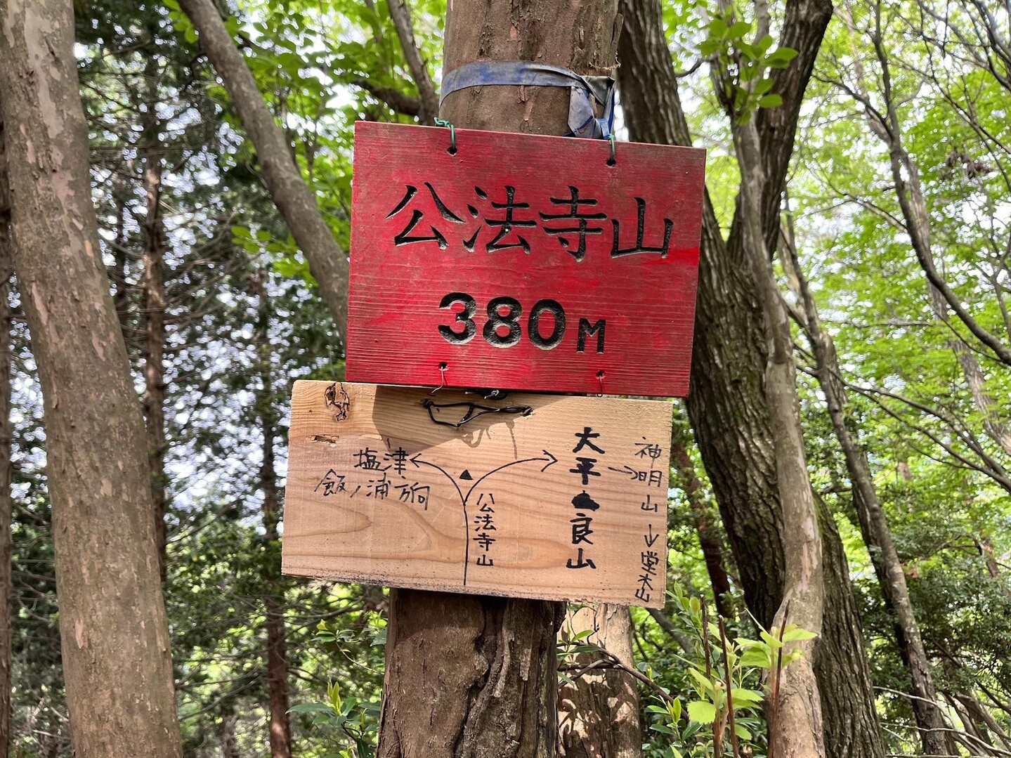 大岩山・賤ヶ岳・公法寺山・大平良山・神明山・堂木山