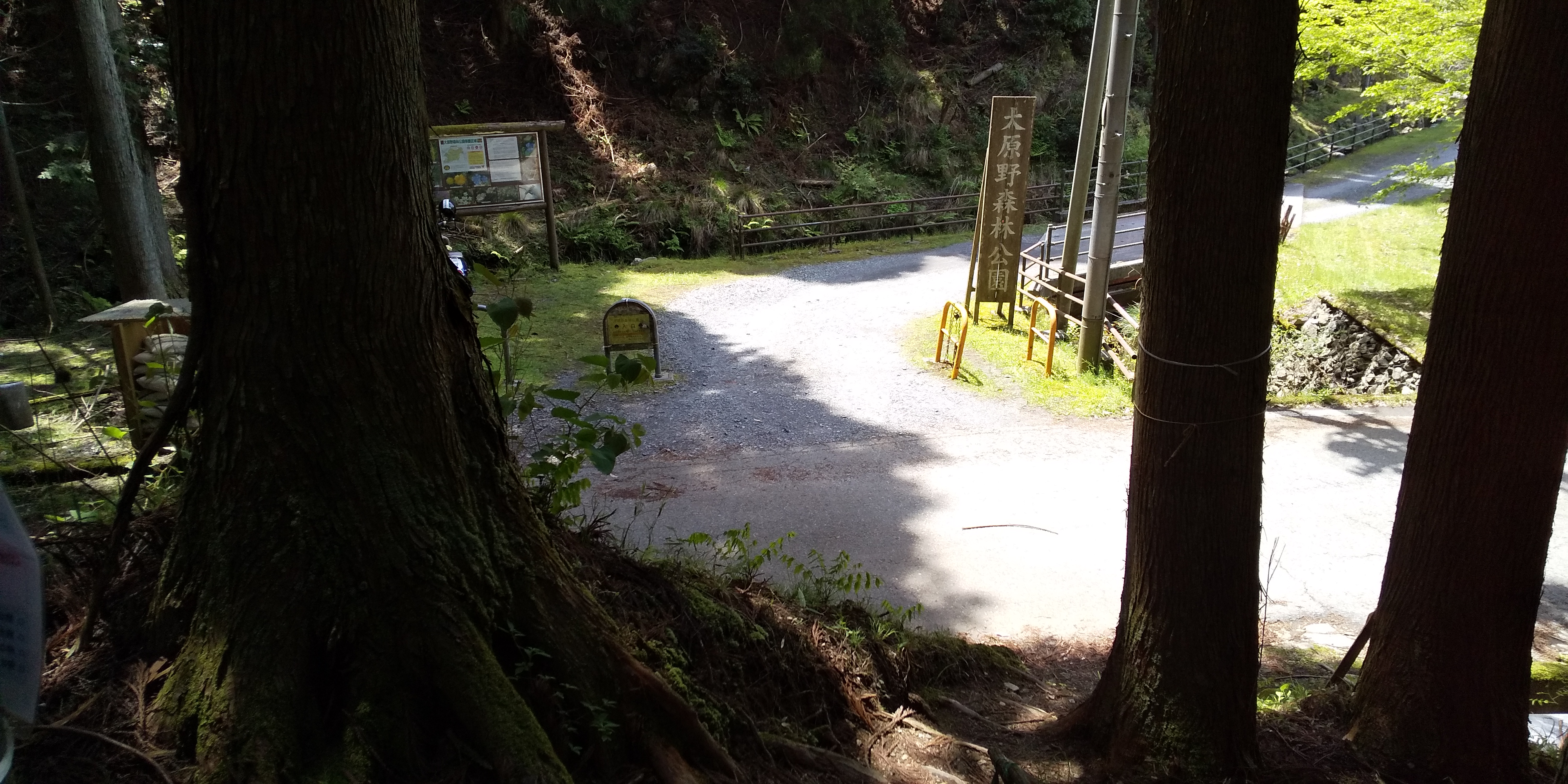 西山連峰トレイルを北から 西山古道と大原野森林公園 ポンポン山 小塩山 釈迦岳 大暑山 トシ97さんのポンポン山 釈迦岳 小塩山 若山の活動データ Yamap ヤマップ