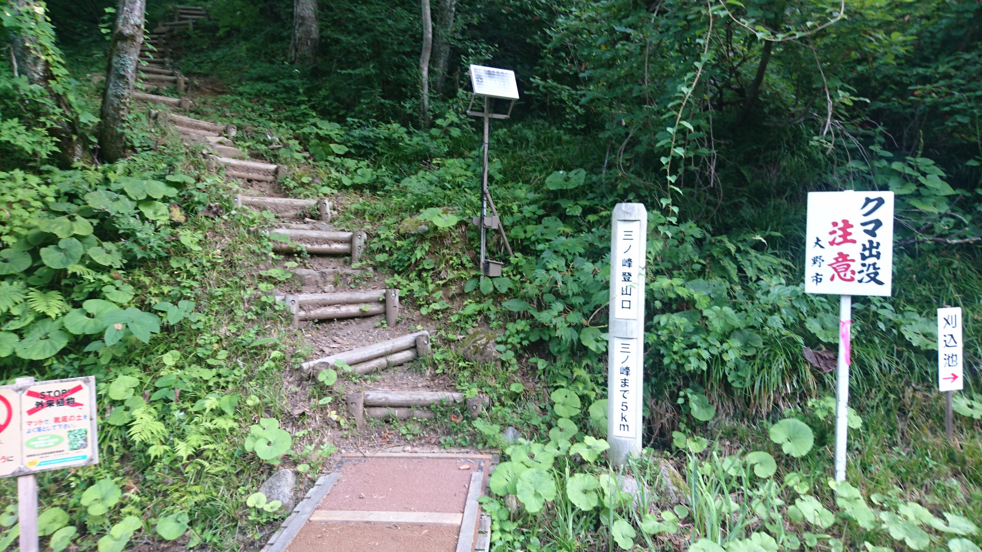 三ノ峰 上小池駐車場ピストン げんさんの白山 別山 銚子ヶ峰の活動日記 Yamap ヤマップ