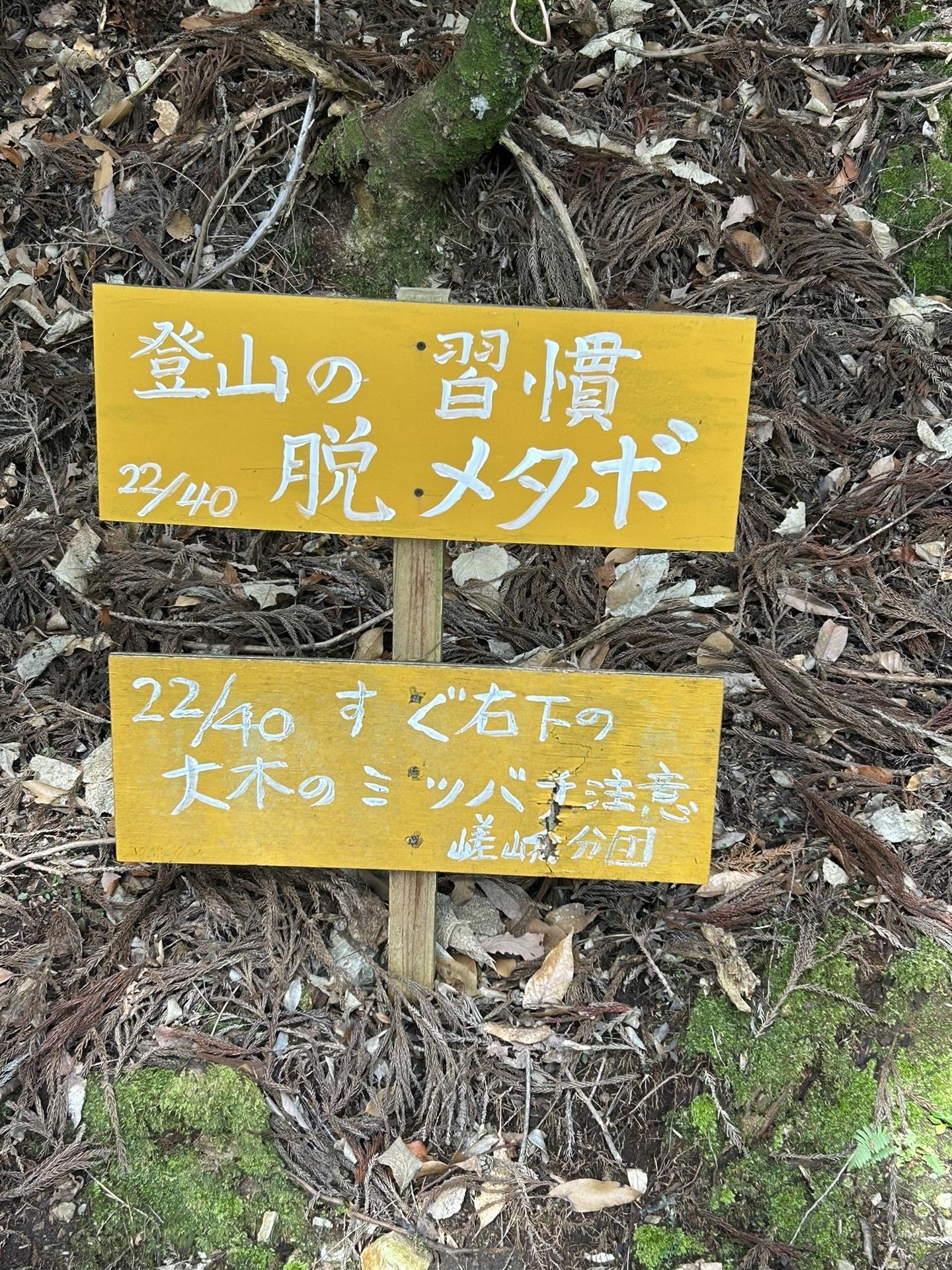 yamap
