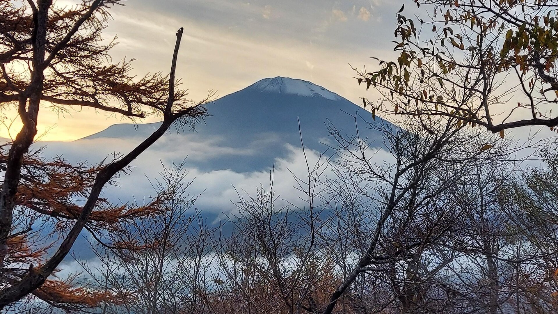 富士箱根トレイル プラス🚲️ / やまんばばさんの箱根山・神山の活動データ | YAMAP / ヤマップ