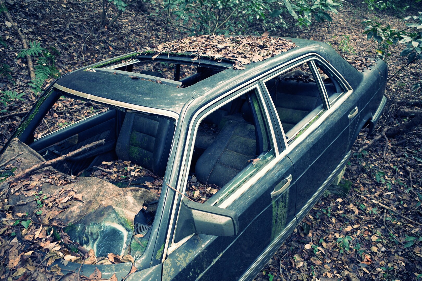 暗峠の 草ヒロ めざして 額田駅 長尾の滝 経由でｰ21ｰ12ｰ19 Kazz0126さんの生駒山 神津嶽 大原山の活動データ Yamap ヤマップ