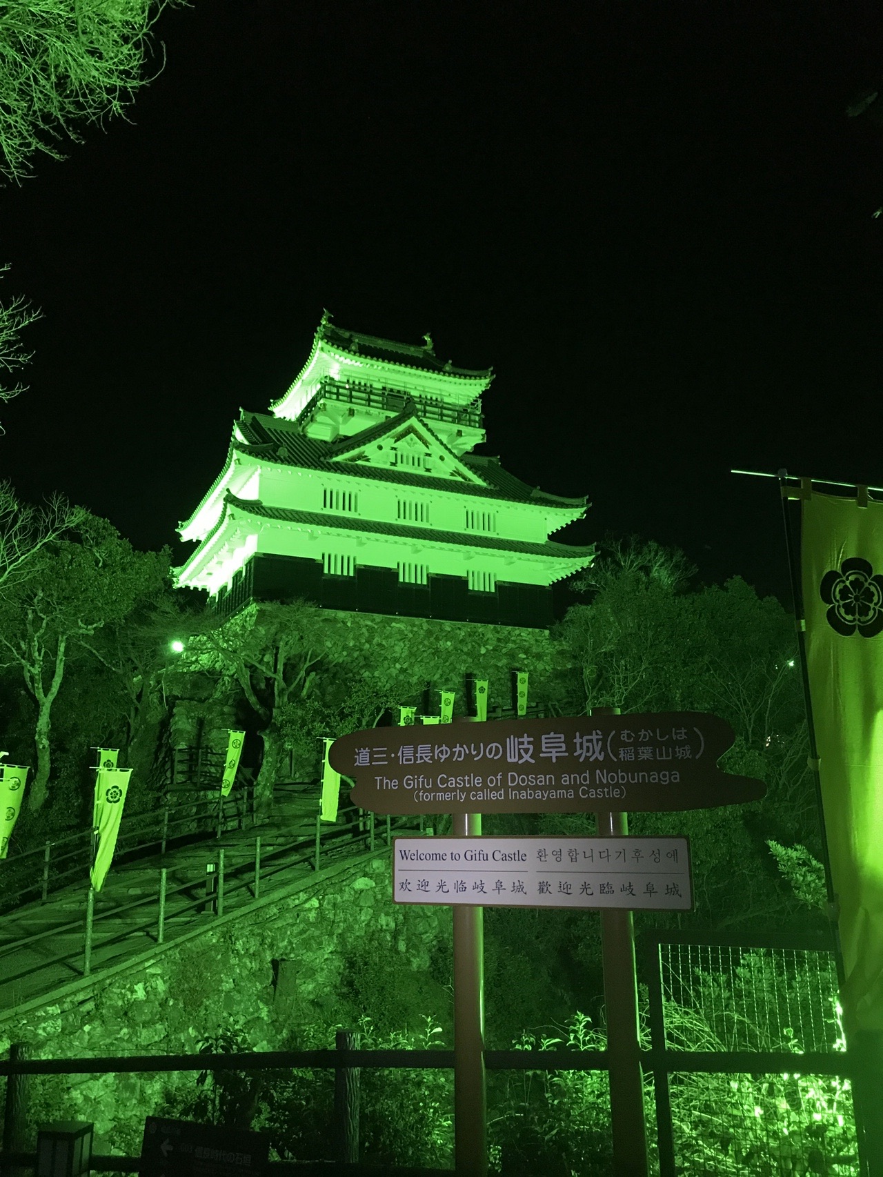 岐阜城ライトアップ 世界緑内障週間 Makoto さんの金華山 岐阜県 洞山 舟伏山の活動データ Yamap ヤマップ