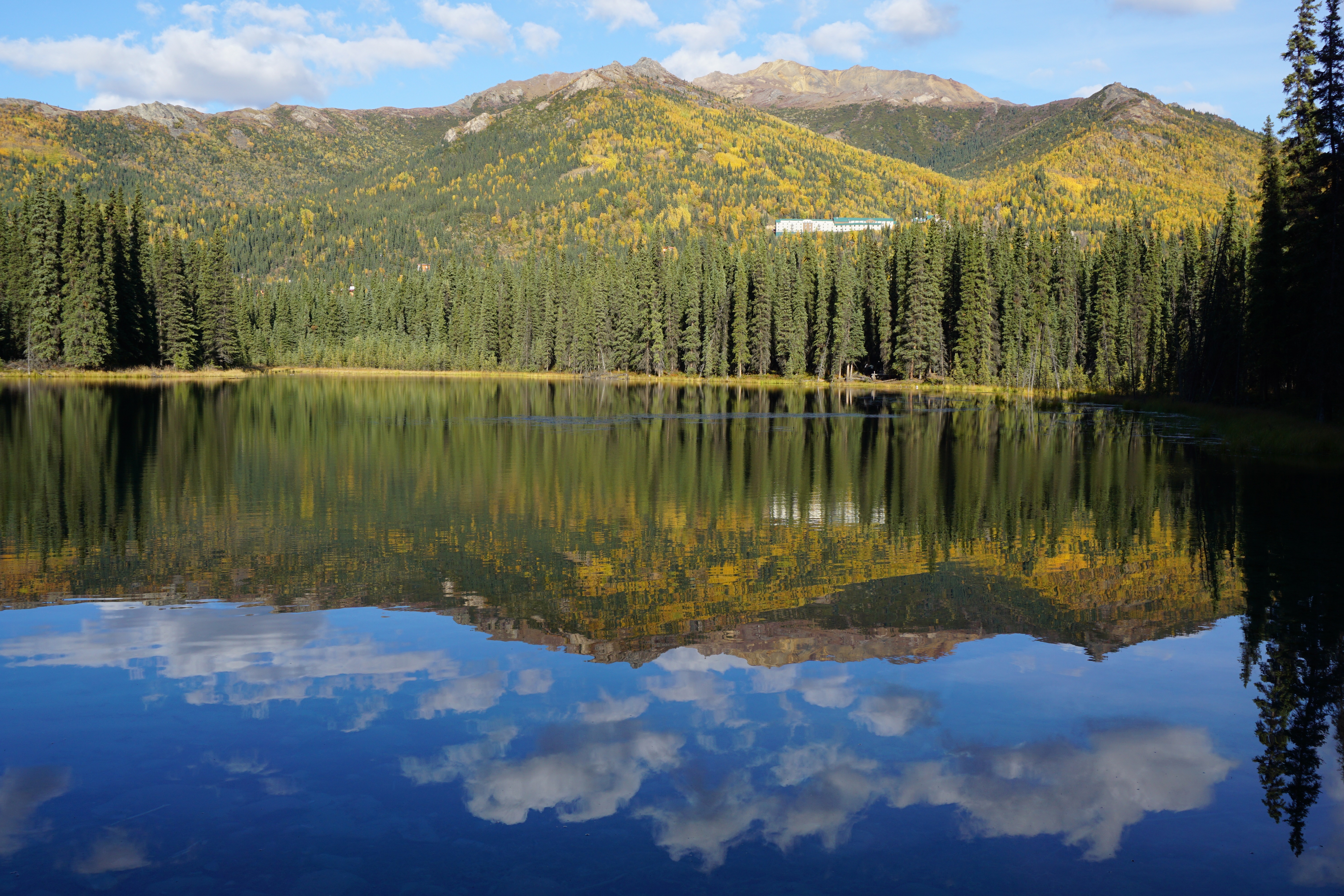 錦秋のデナリ国立公園 ホースシュー レイクトレイル きゅうさんのデナリ国立公園 その1の活動データ Yamap ヤマップ
