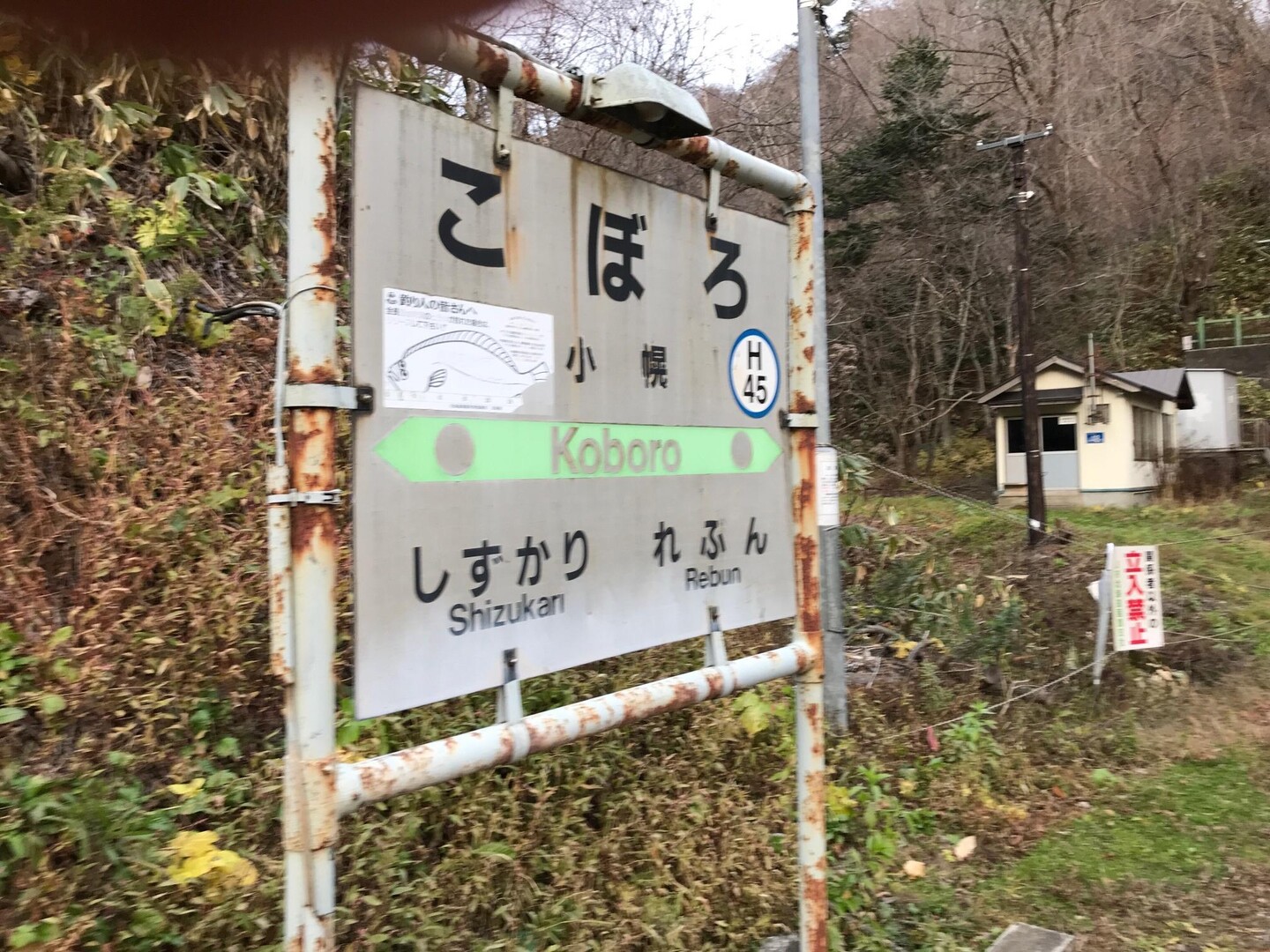 小幌駅周辺-2022-11-25 / アクアさんの礼文華峠の活動データ | YAMAP / ヤマップ