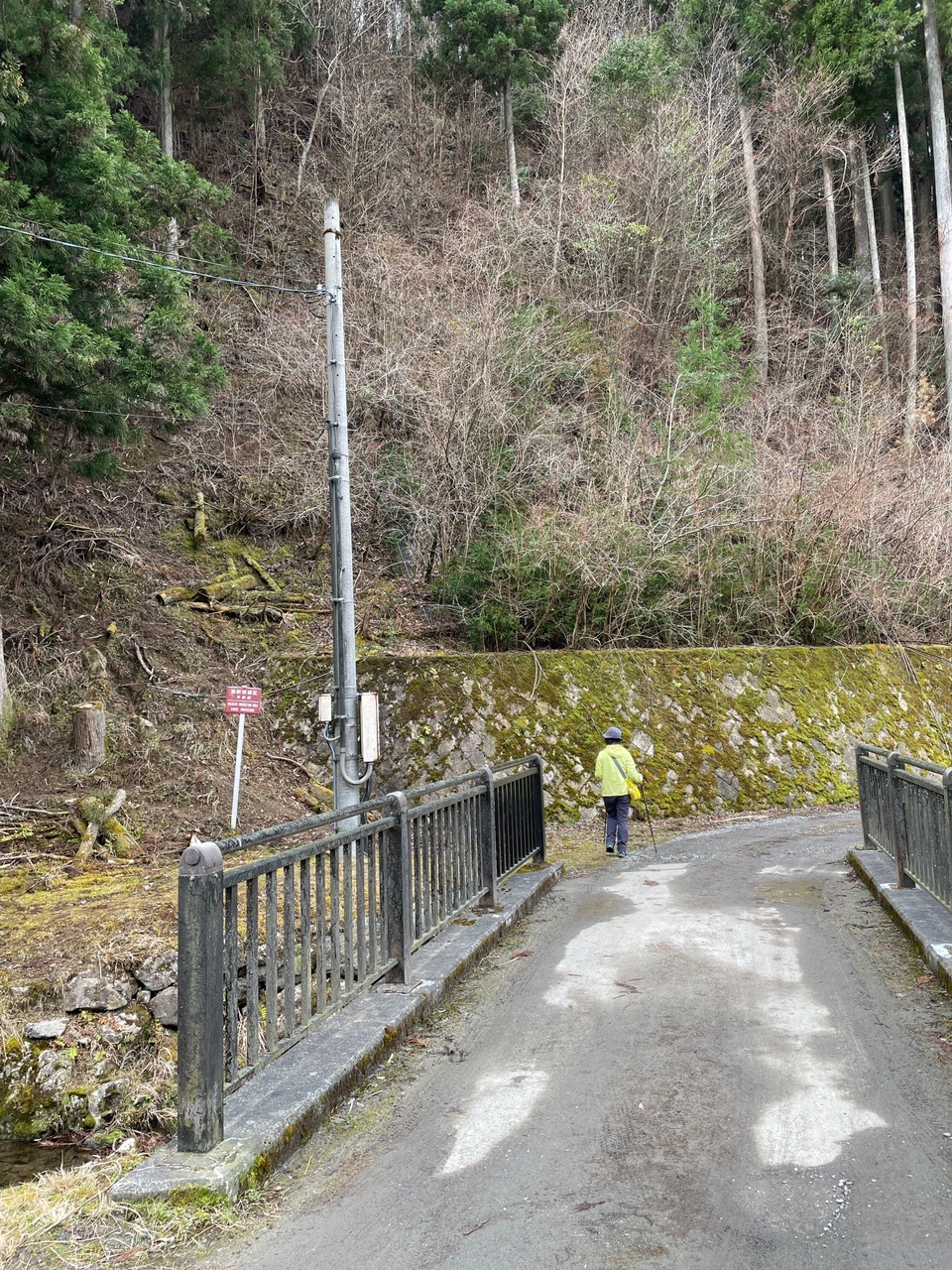 大原野森林公園 山田池公園周辺でお花探し Otaksaさんのポンポン山 釈迦岳 小塩山 若山の活動日記 Yamap ヤマップ