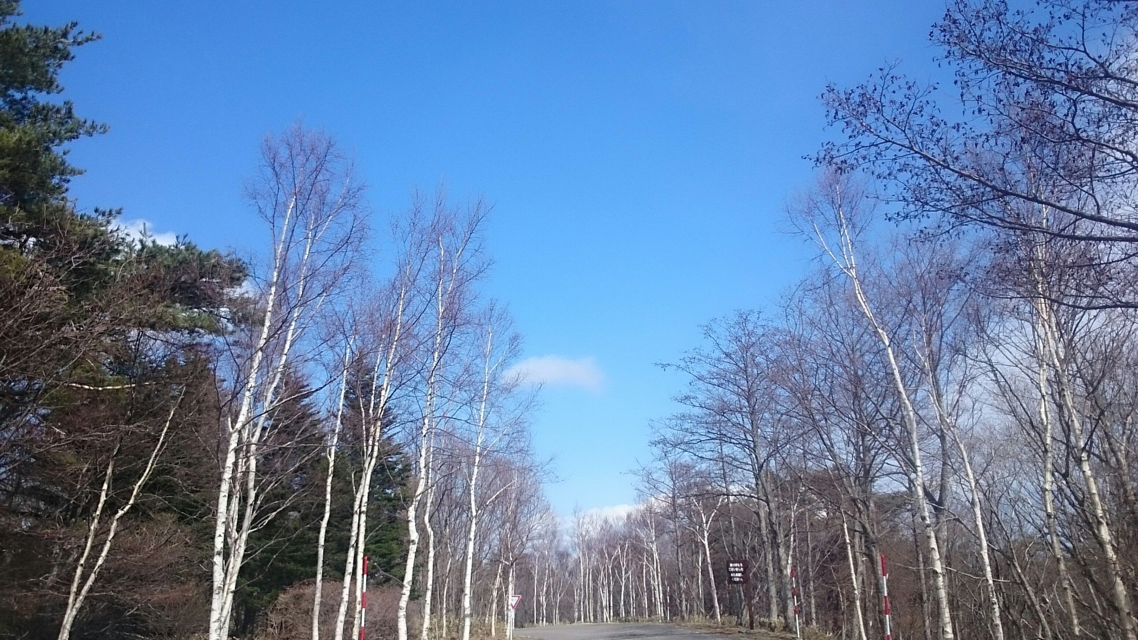 那須甲子青少年自然の家 / やまやさんの茶臼岳（那須岳）・三本槍岳 