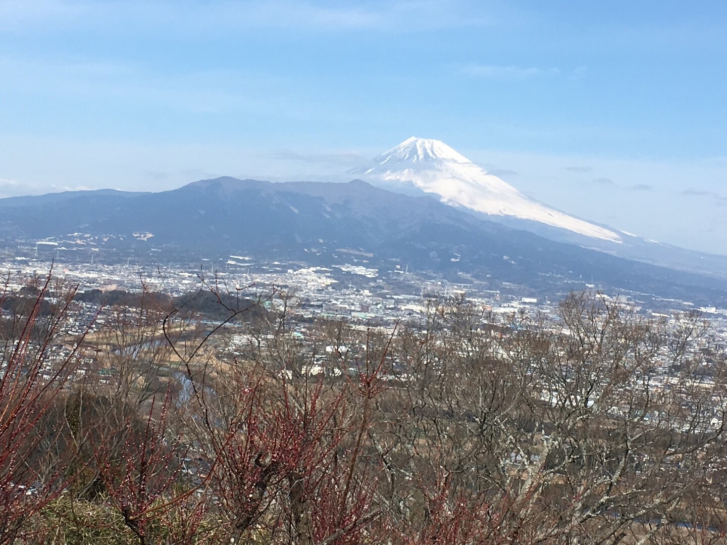 沼津アルプス 鷲頭山 香貫山 2019 02 22 Masuoさんの沼津アルプス 鷲頭山 香貫山の活動日記 Yamap ヤマップ