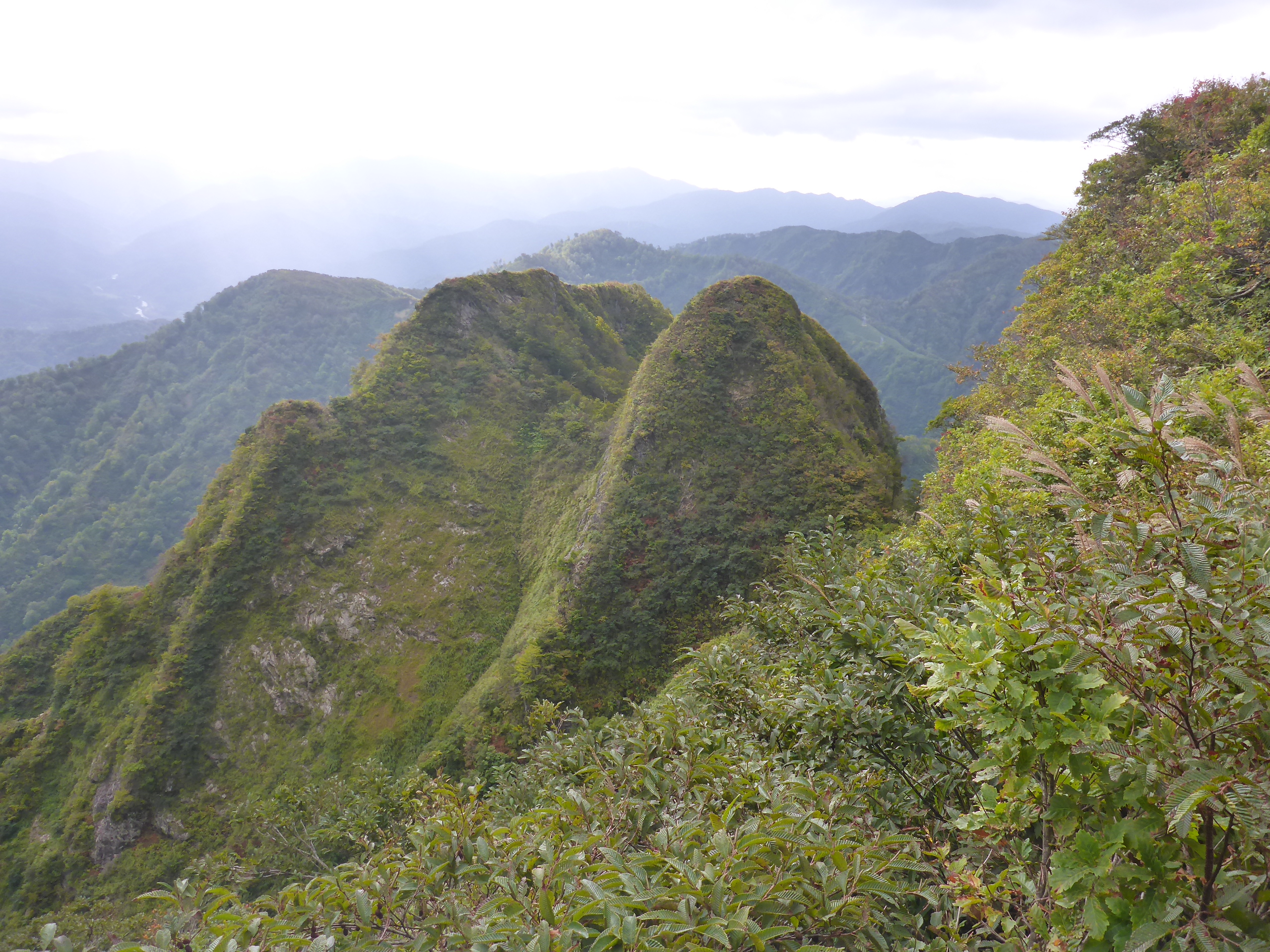 摩耶山 山形県 1 019m ヤマオヤジさんの摩耶山 山形県鶴岡市 の活動データ Yamap ヤマップ