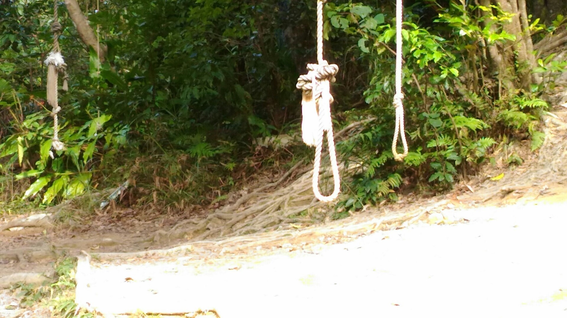 沖縄遠征1 石川岳にて忍者トレーニング Hideboさんの宜野湾市 沖縄市 うるま市の活動日記 Yamap ヤマップ