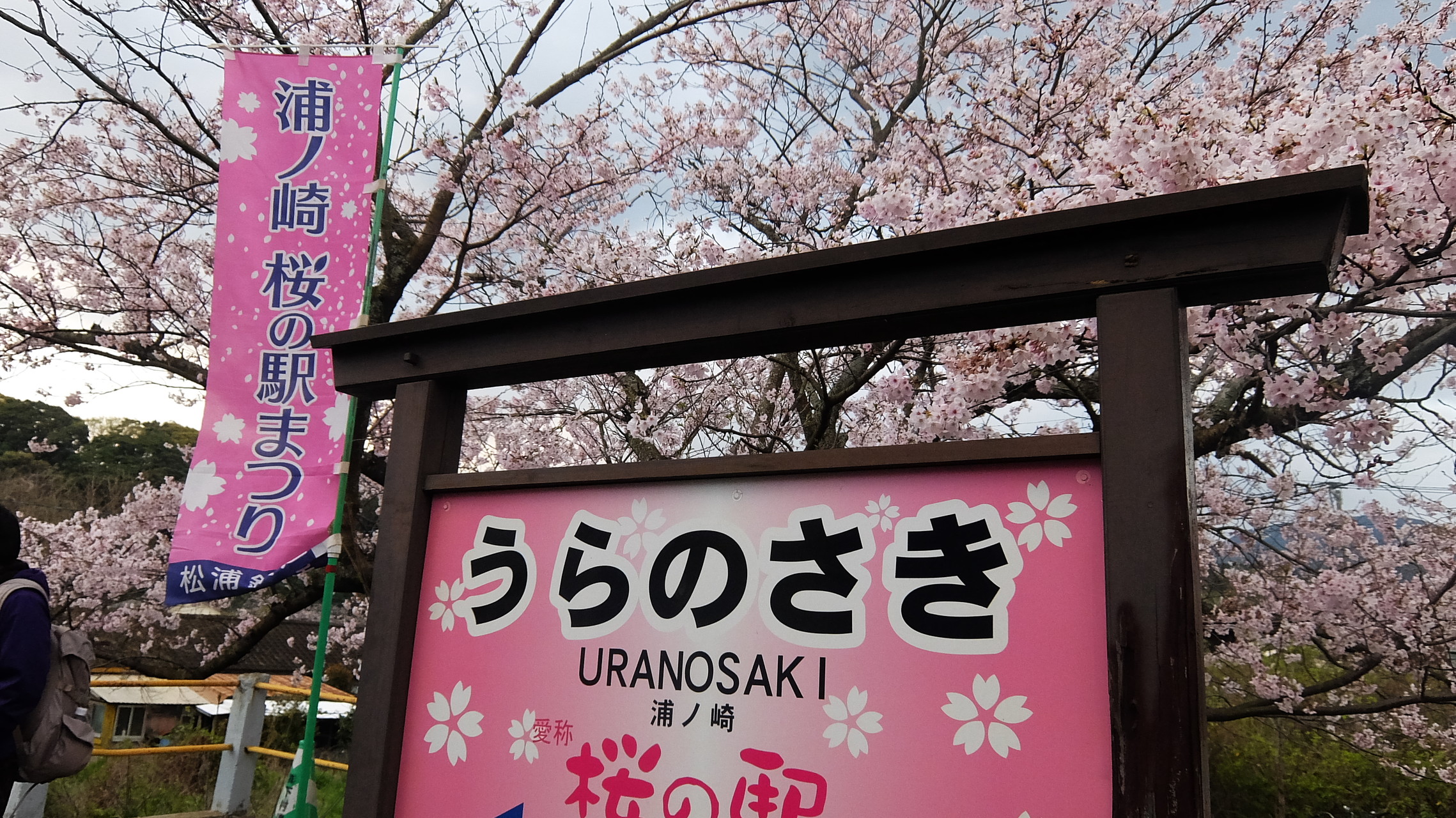 桜のトンネル浦ノ崎駅 石倉山から人形石山 Furukawaさんの伊万里市の活動データ Yamap ヤマップ