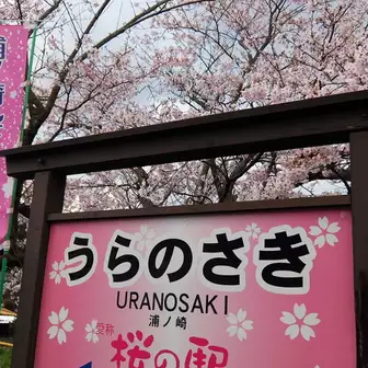 桜のトンネル浦ノ崎駅 石倉山から人形石山 Furukawaさんの伊万里市の活動データ Yamap ヤマップ