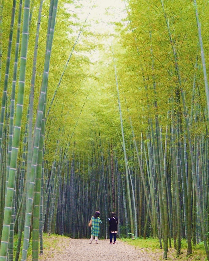 久しぶりにカメラ持って宇都宮の若竹の杜へ Yutayutaさんのモーメント Yamap ヤマップ