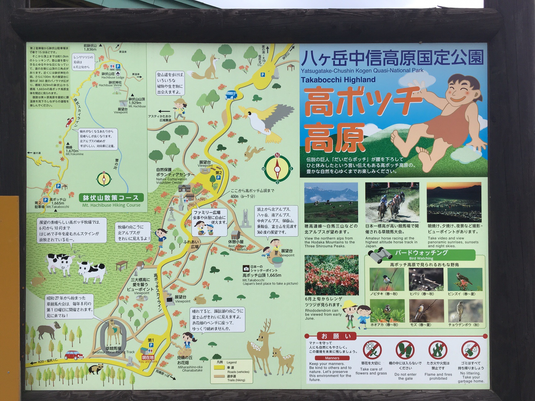 天空のお散歩 高ボッチ山 穂高 岳さんの鉢伏山 高ボッチ山 三峰山の活動日記 Yamap ヤマップ