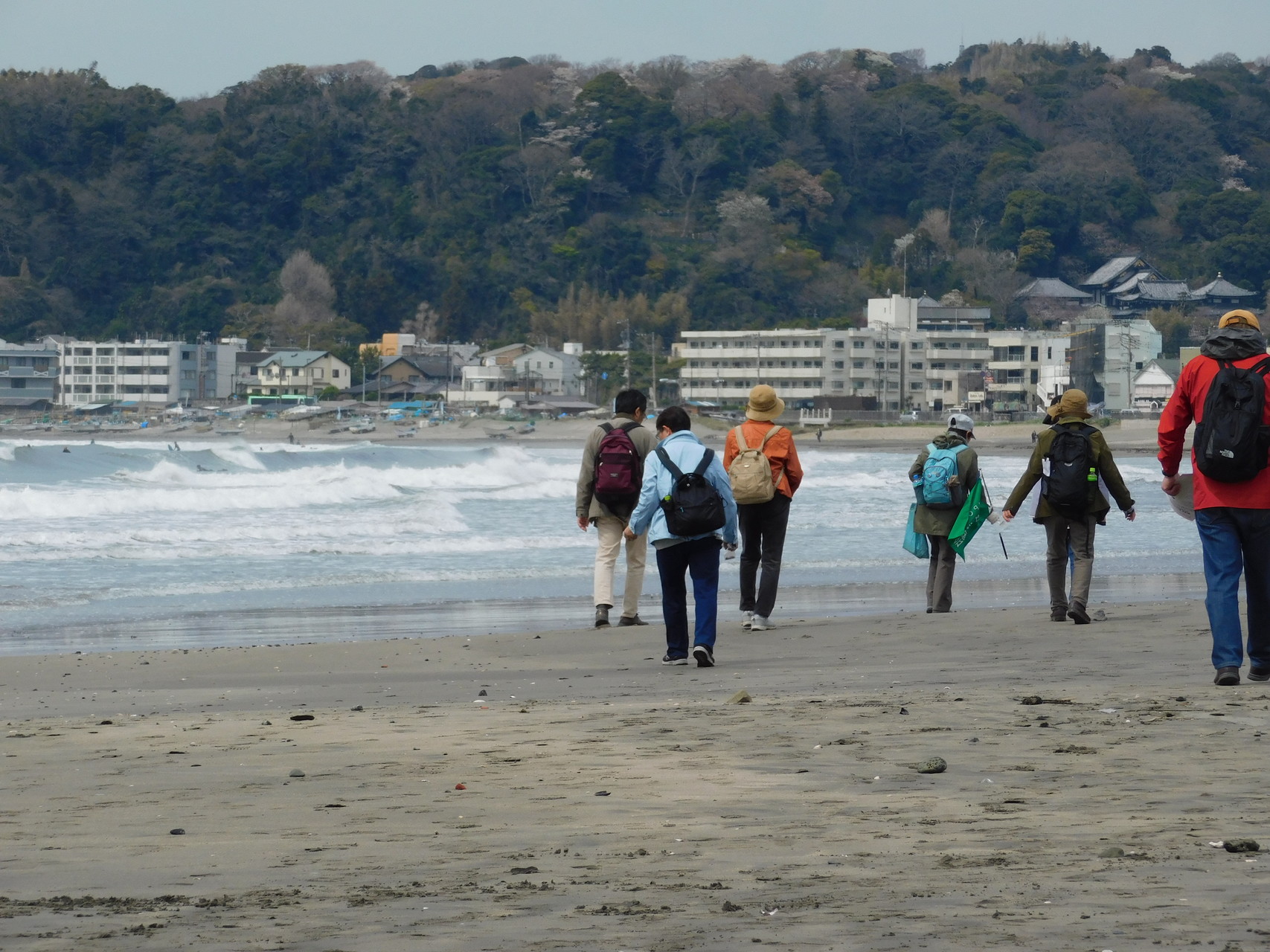 鎌倉ガイド 桜と桜貝 春うららかな鎌倉に遊ぶ アーガスさんの鎌倉市の活動日記 Yamap ヤマップ