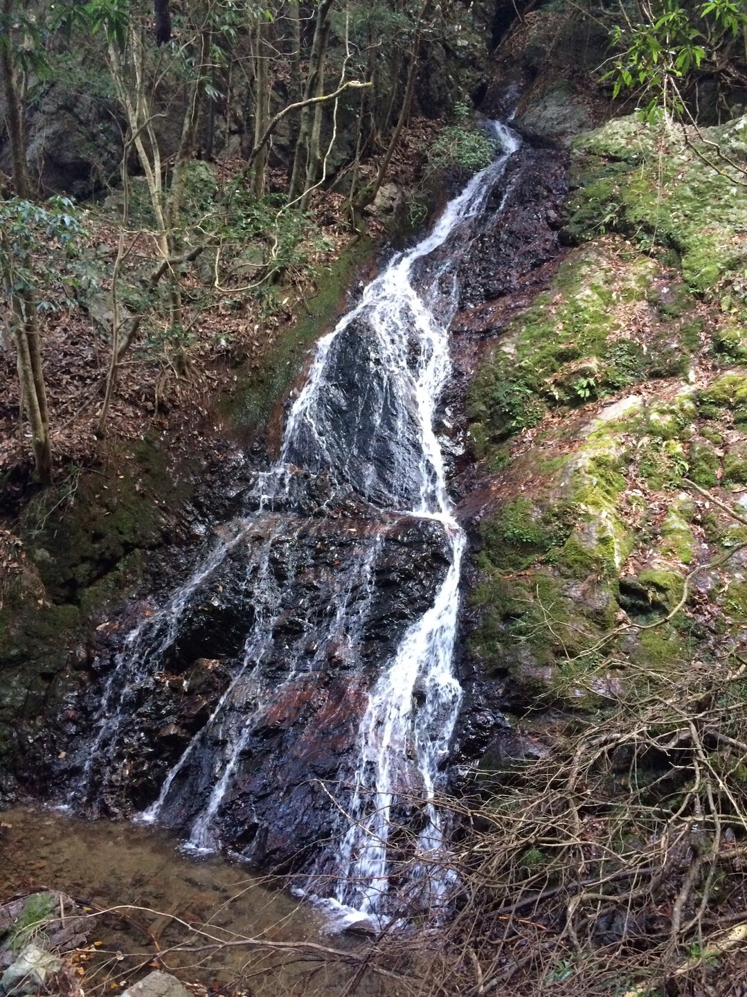 パワースポット出灰不動尊起点 やまたいらさんのポンポン山 京都府 釈迦岳 小塩山 若山の活動日記 Yamap ヤマップ
