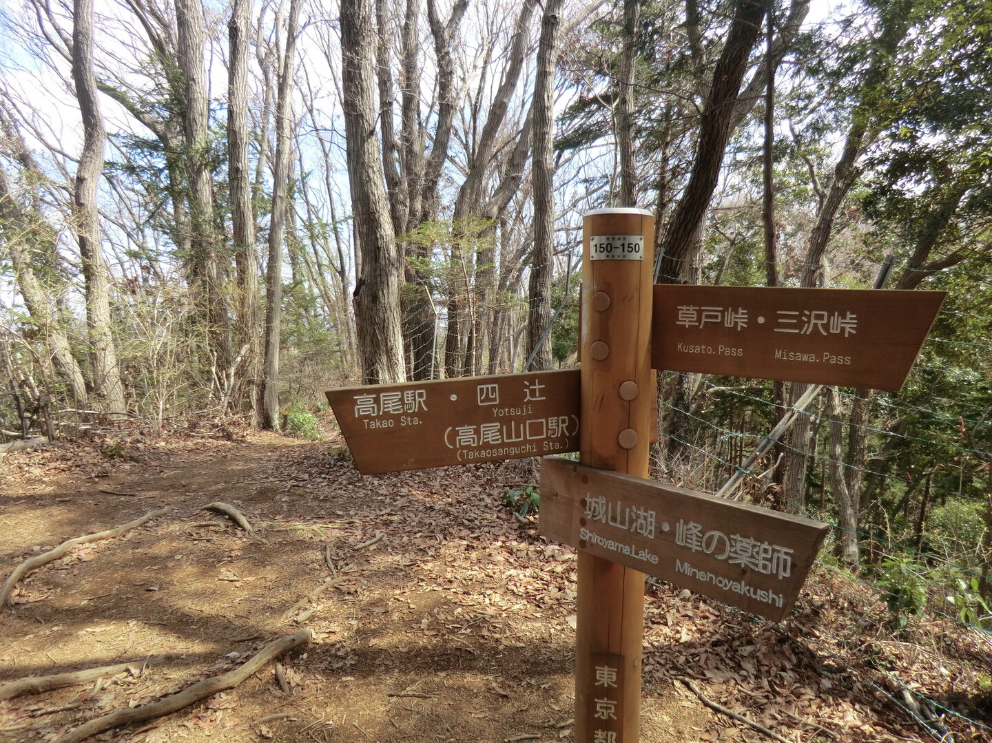 初沢川源頭 東高尾山稜東側尾根 ウオーキング Hayakunさんの高尾山 陣馬山 景信山の活動日記 Yamap ヤマップ