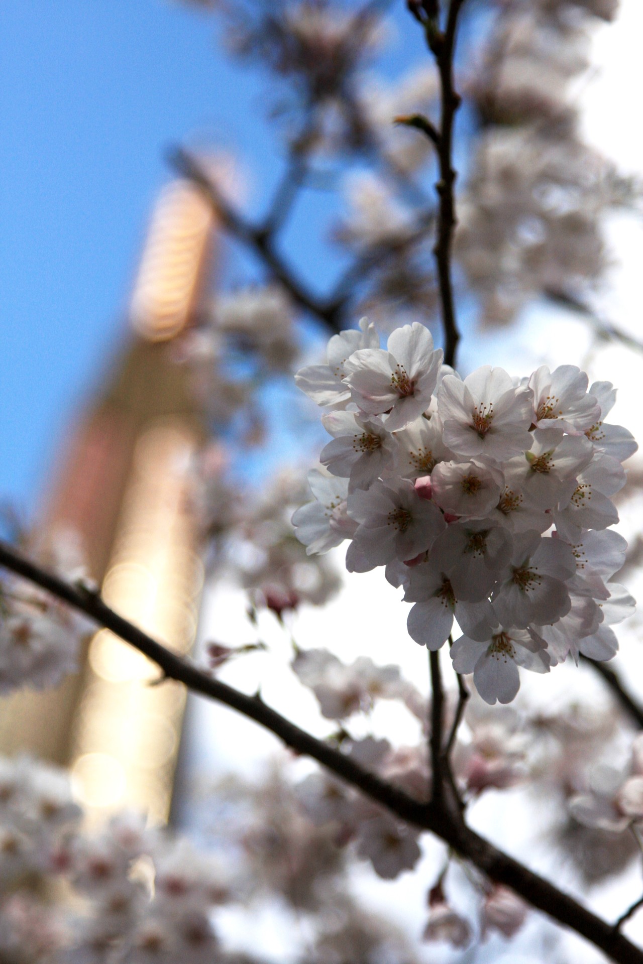 チャリンコ漕ぎ漕ぎ茨木の弁天さんへ ぬまけんさんの摂津市の活動日記 Yamap ヤマップ