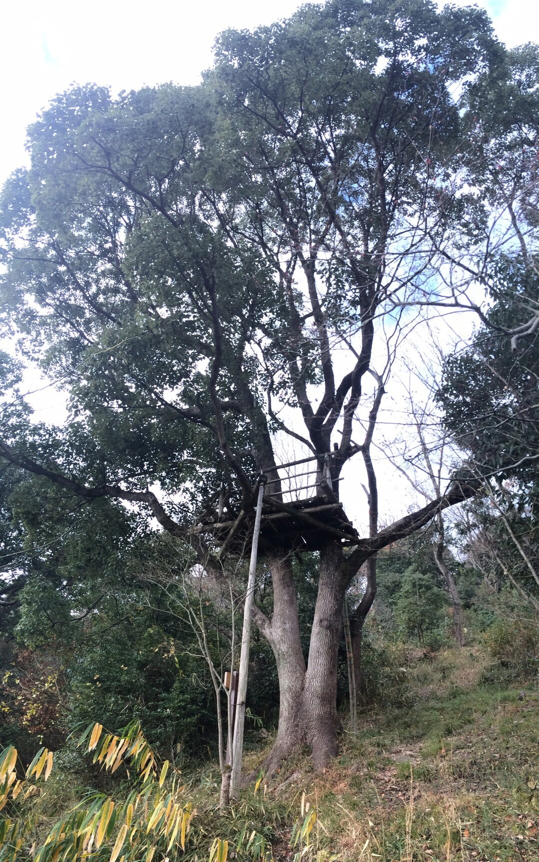 阿武山見張り台 やまたいらさんの竜王山 阿武山の活動日記 Yamap ヤマップ