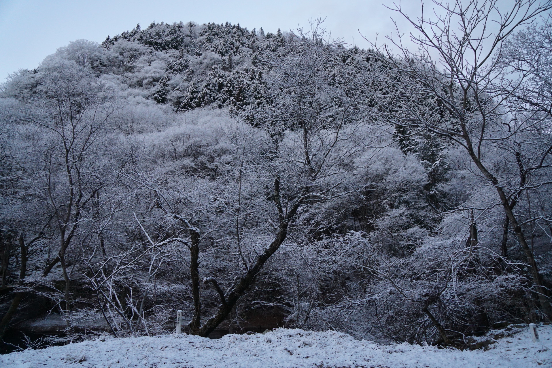 雪の乾徳山 テングさんの乾徳山 黒金山の活動データ Yamap ヤマップ