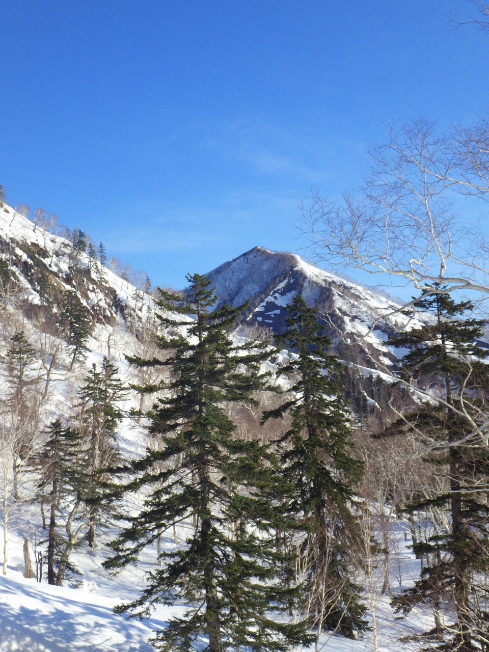夕張中岳ph Owliverさんの芦別岳の活動日記 Yamap ヤマップ