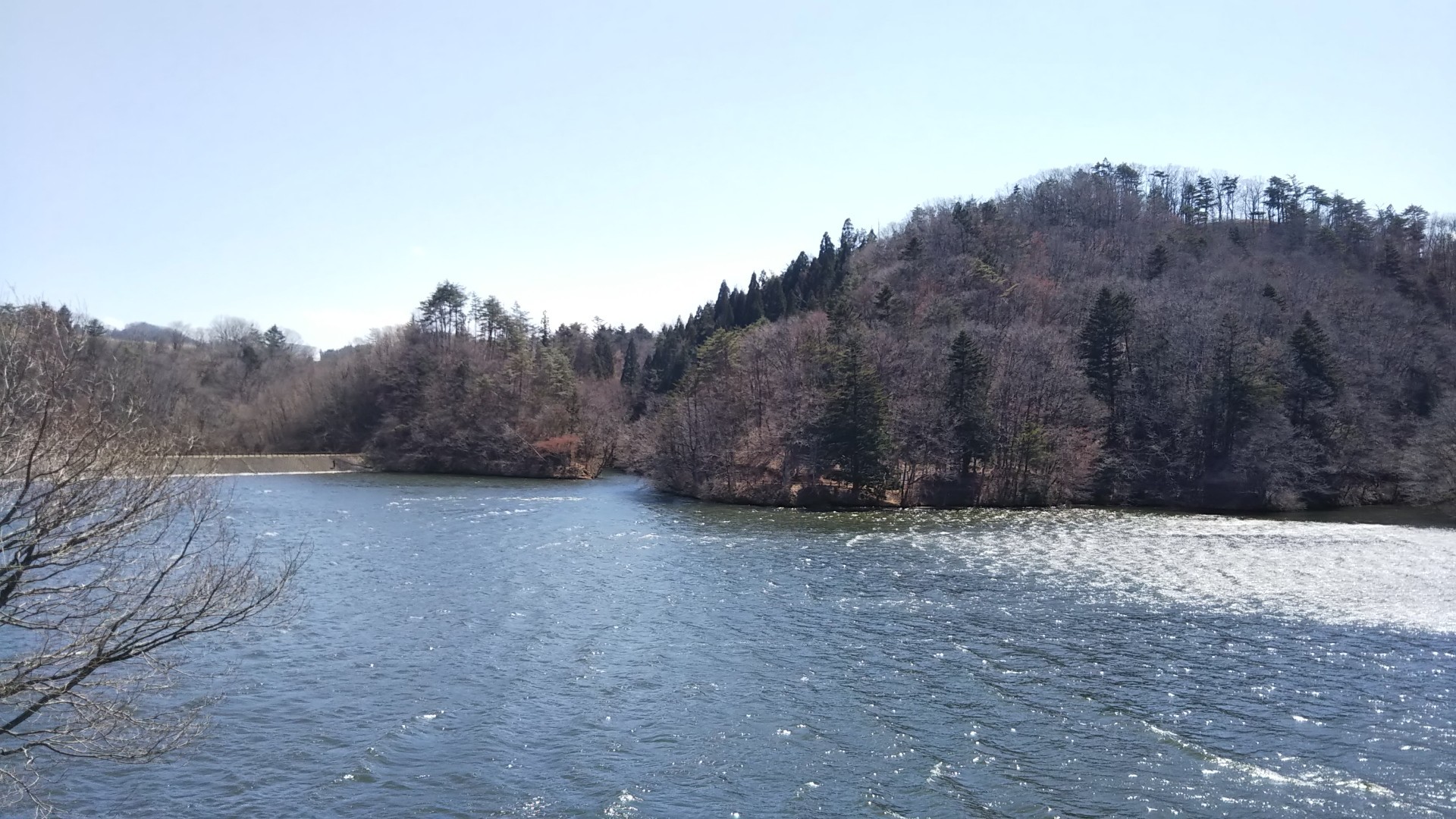 カタクリ咲く サイカチ沼 月山池へ はんぽさんの仙台市の活動日記 Yamap ヤマップ