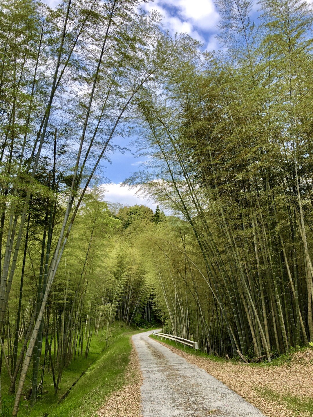 滝行 西郷どん篇 11話長野滝 あちゃさんの三重嶽 花尾山の活動日記 Yamap ヤマップ