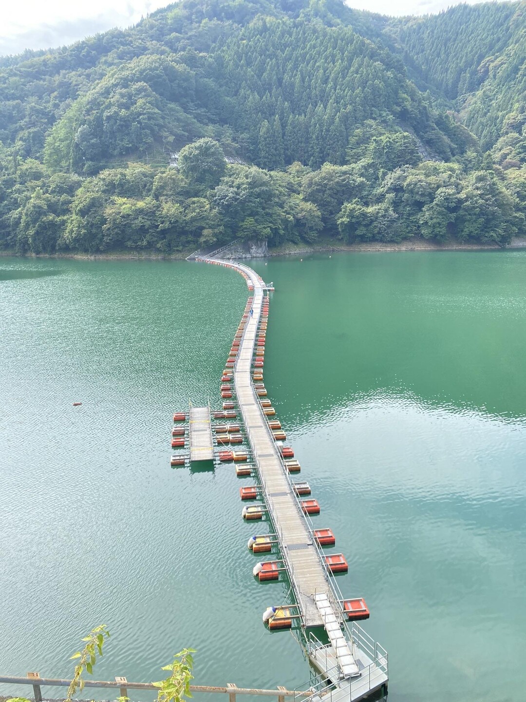 サークルのみんなで浮き橋を渡って三頭山へ / ken-sukeさんの三頭山・槇寄山・土俵岳の活動データ | YAMAP / ヤマップ