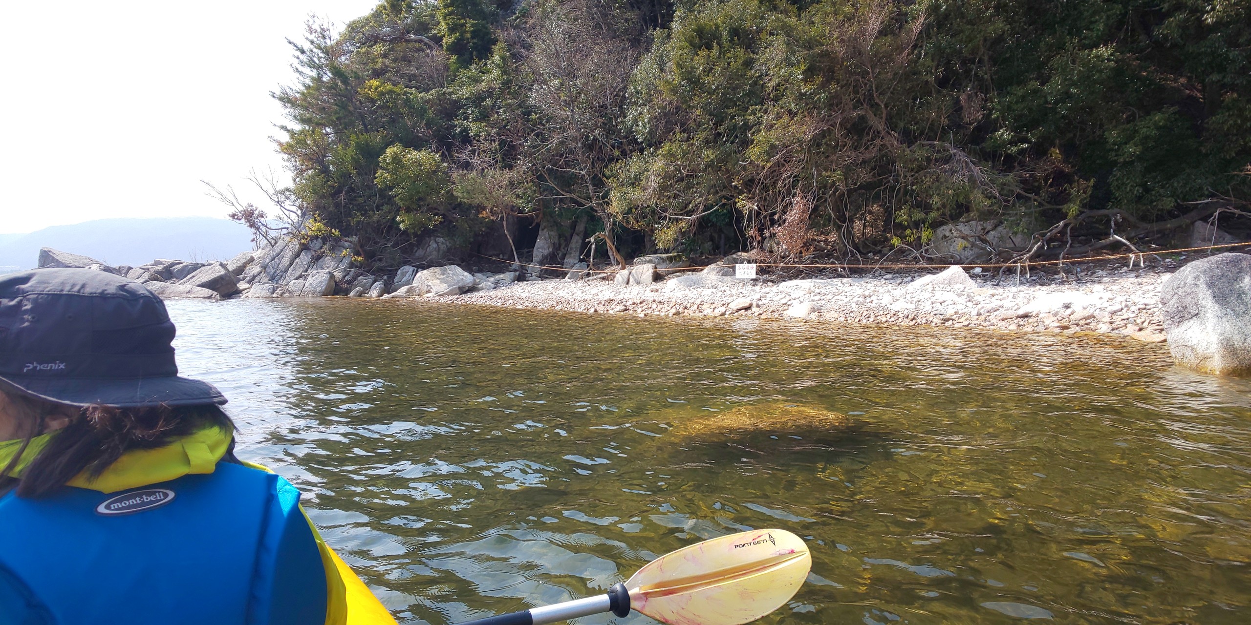 奥琵琶湖 海津大崎 お花見カヤック 第3回目 きょうも風が強かった 赤い海賊さんの東山 滋賀県長浜市 の活動データ Yamap ヤマップ