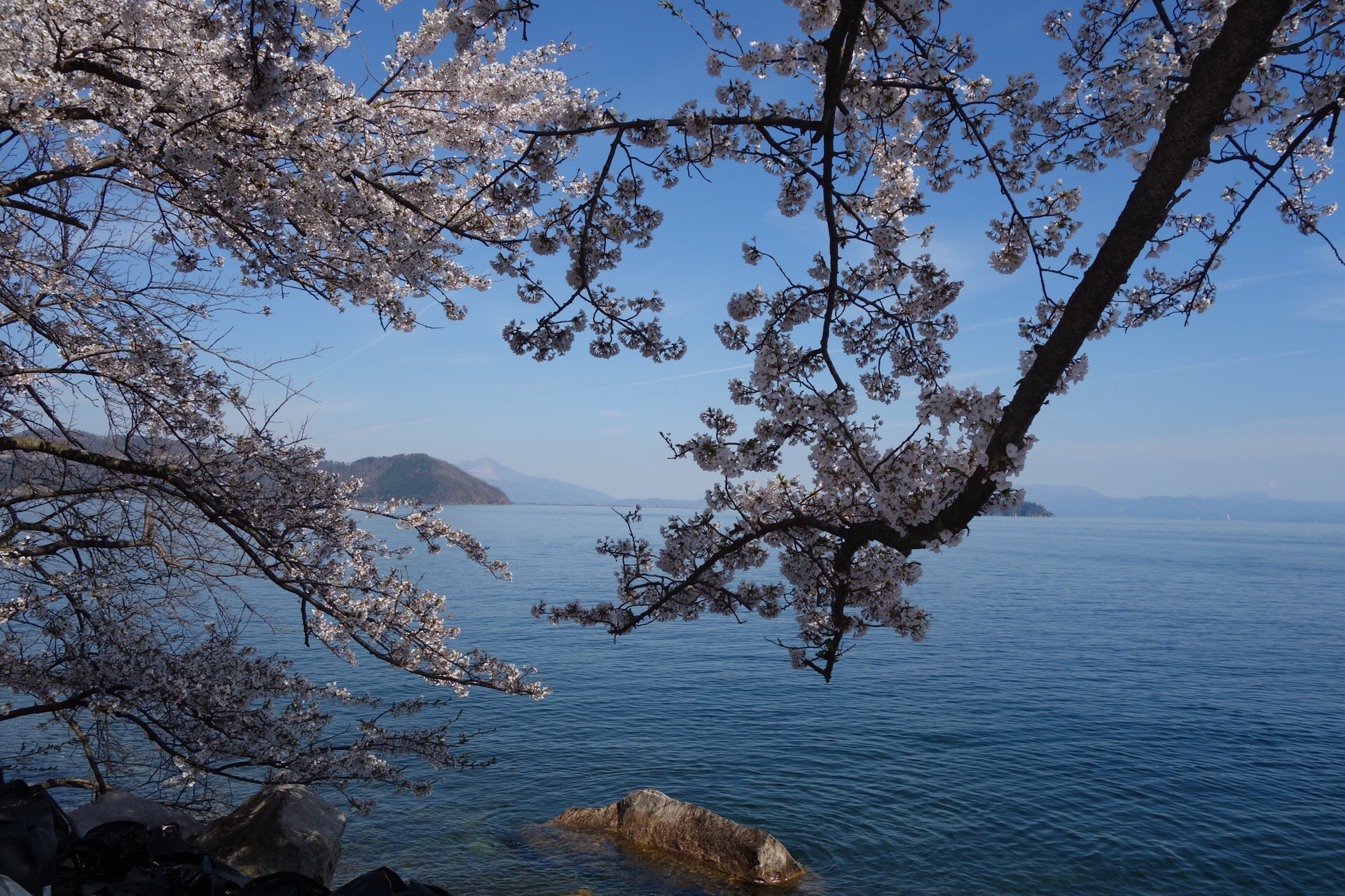 琵琶湖八景の一つ 桜のトンネルを抜けると海津大崎 大崎寺 東山 奥琵琶湖から眺める伊吹山 竹生島 黒影さんの東山 滋賀県長浜市 の活動日記 Yamap ヤマップ