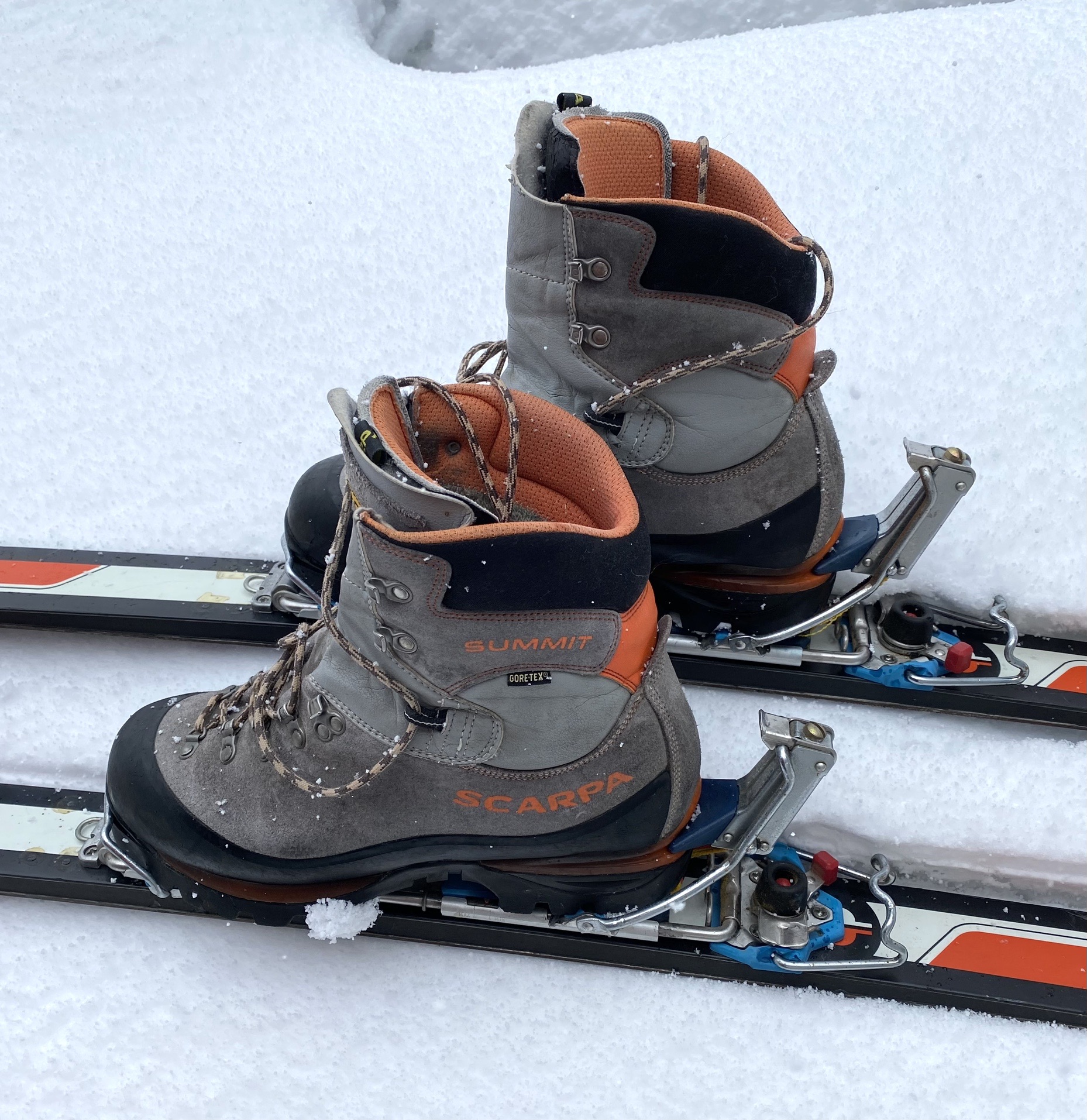 Silvretta スキーブーツ