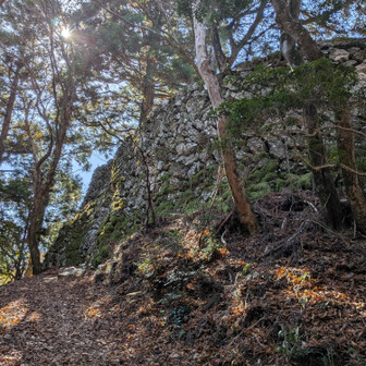 お！こんな所に石垣が急に現れて、テンション上がります🤩
どうやって運んだんだろうねーって話しかけると「頑張って運んだと思いますよー」
と、さすがの後輩ちゃんの返し😁
