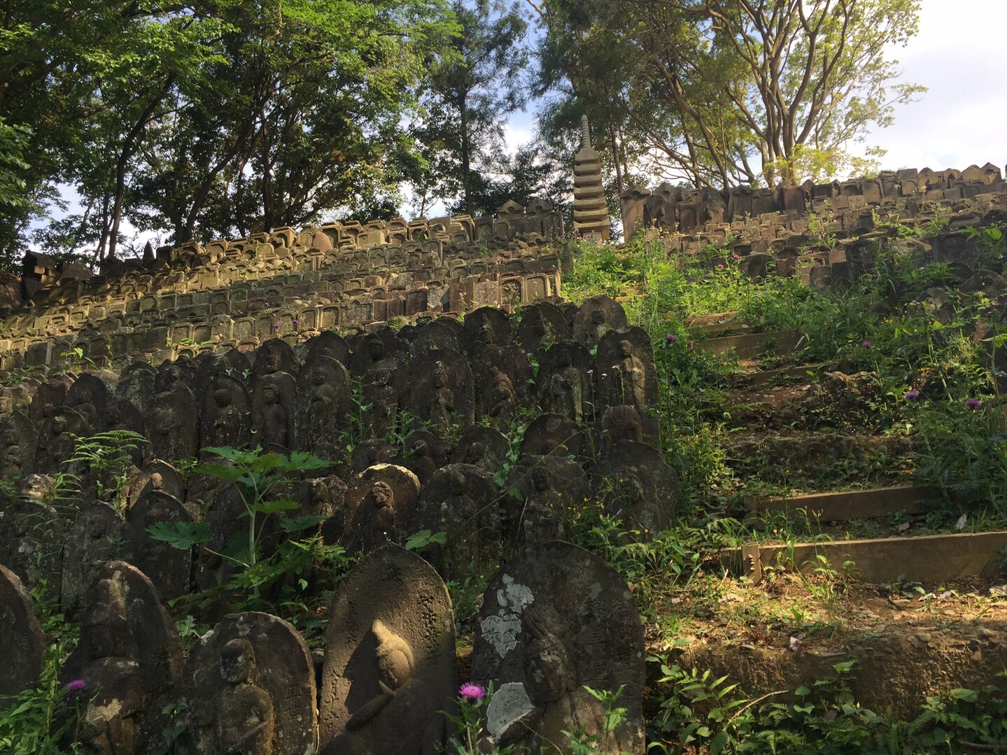細山 ありがた山 のりのり さんの北多摩の活動データ Yamap ヤマップ