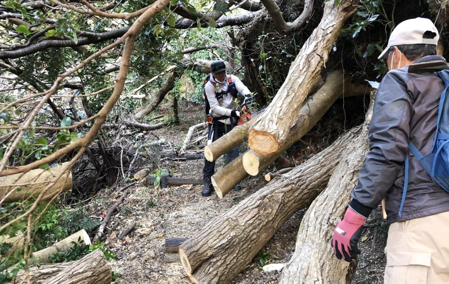 千葉県・房総丘陵の登山道荒廃を防ぐプロジェクト