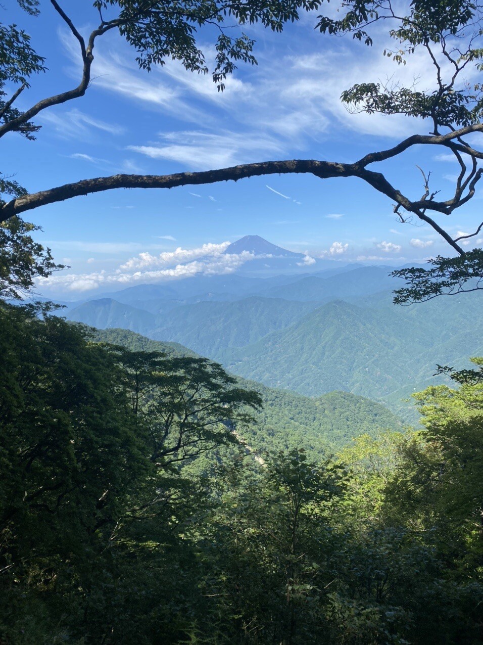 檜洞丸・熊笹ノ峰・大笄・小笄 / 二の足さんの丹沢山の活動データ YAMAP / ヤマップ