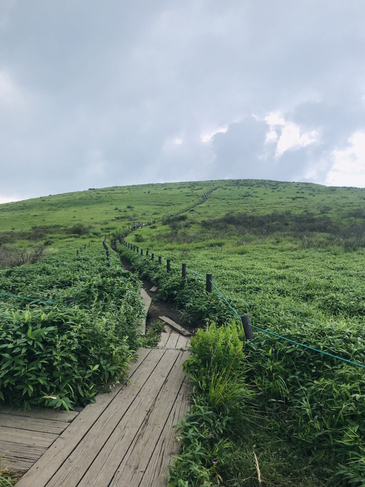 霧ヶ峰 車山 曇り時々雨 時々晴れ 暑い ボルシチ ゆさんの霧ヶ峰 車山 大笹峰の活動データ Yamap ヤマップ